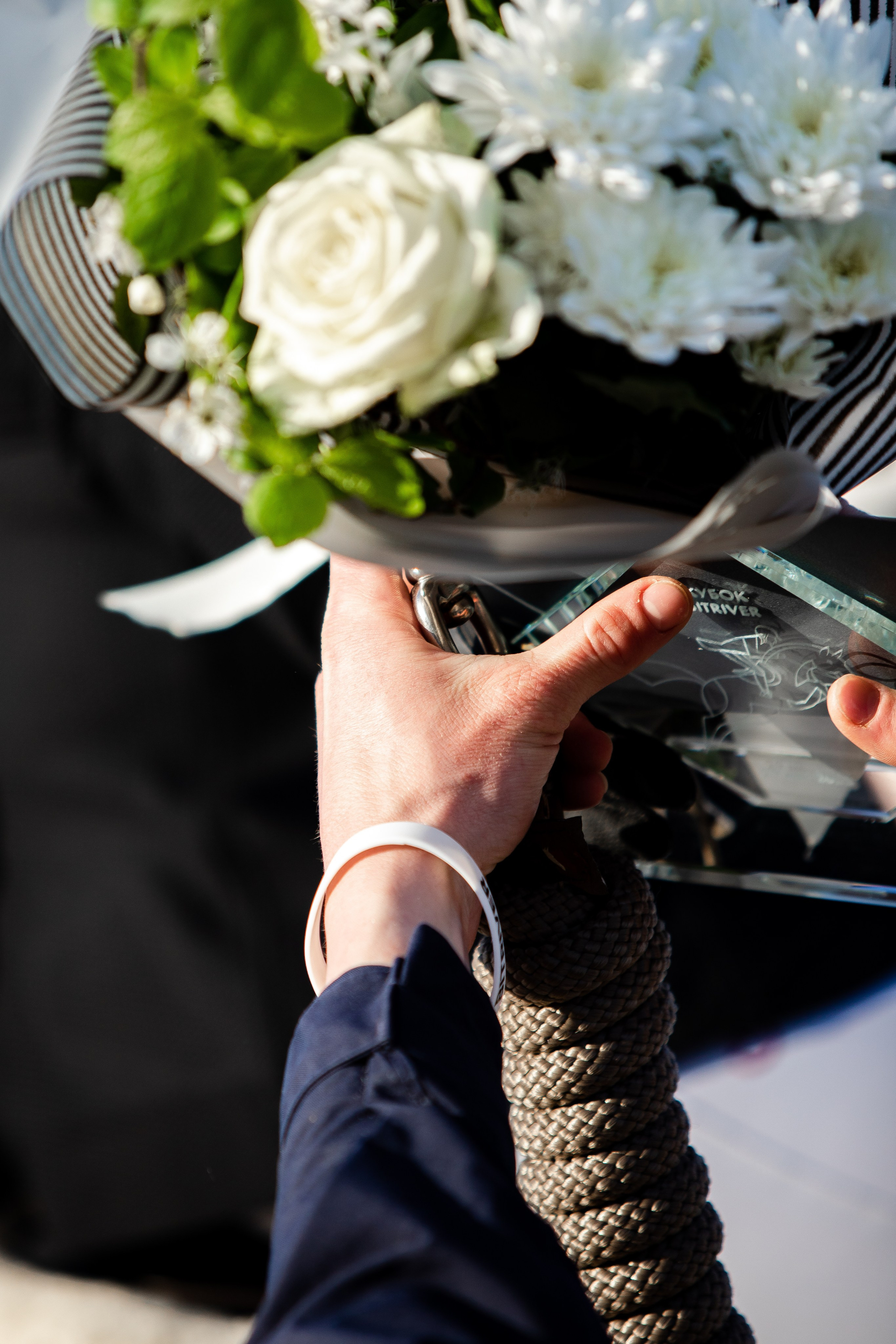 Турниры. Veronika Makeeva horse photo