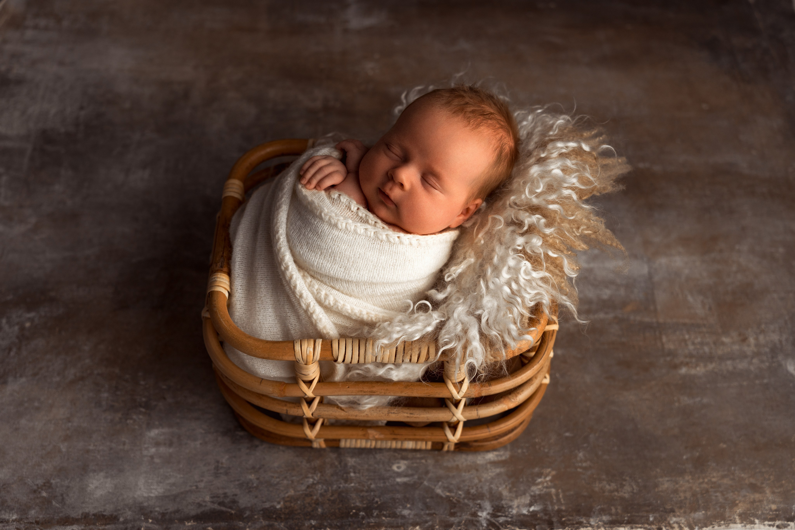 Лёвушка. Анастасия Чиркова, Фотограф Москва