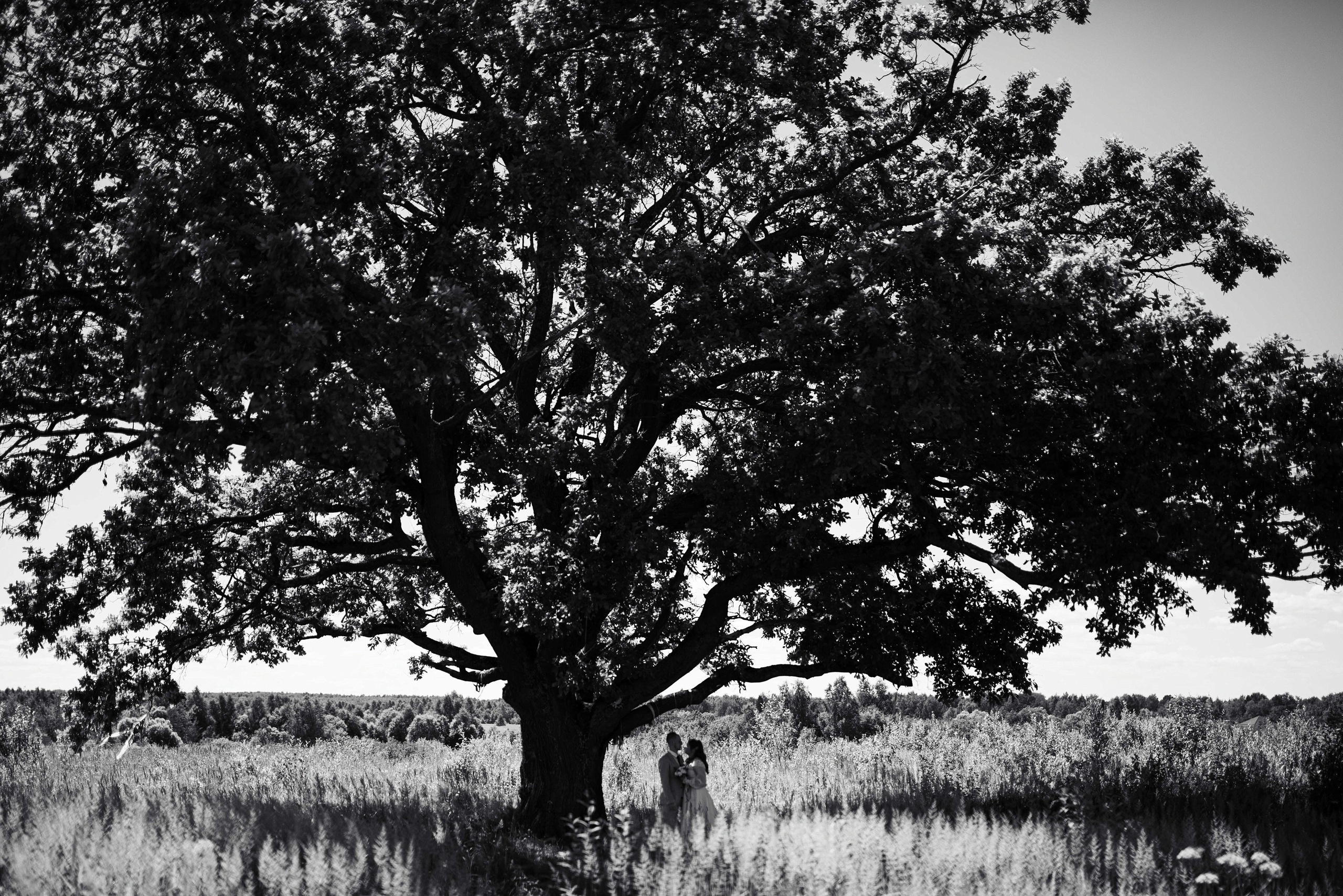 Фотограф Светлана Голицына