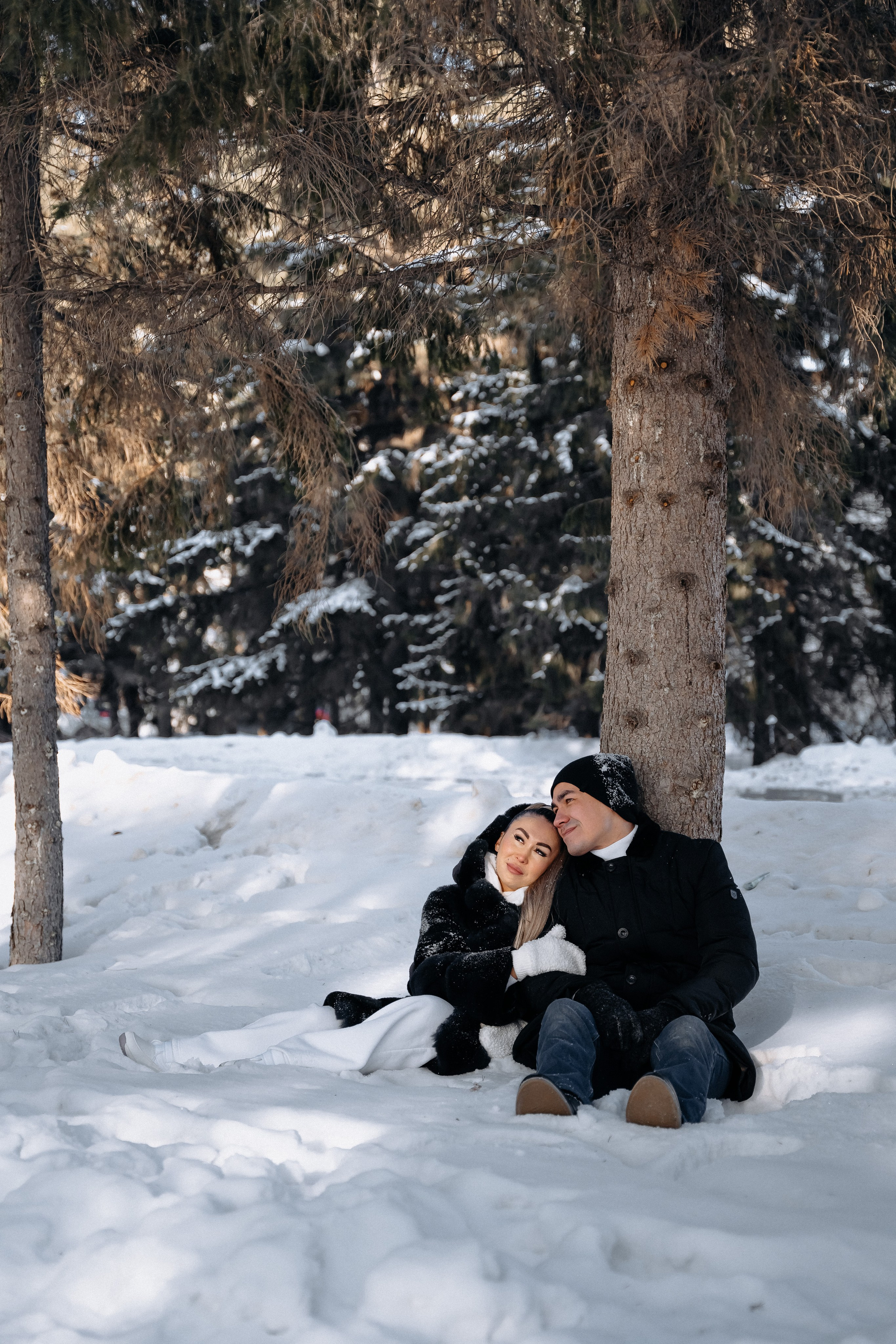 Диша и. Главная