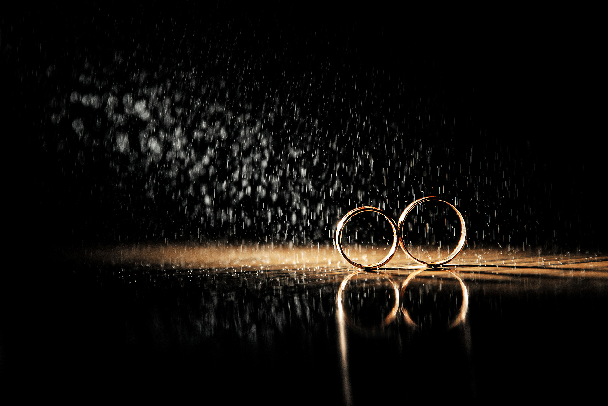 Ирина и Антон. Свадебный организатор в Ростове-на-Дону Яснов Роман