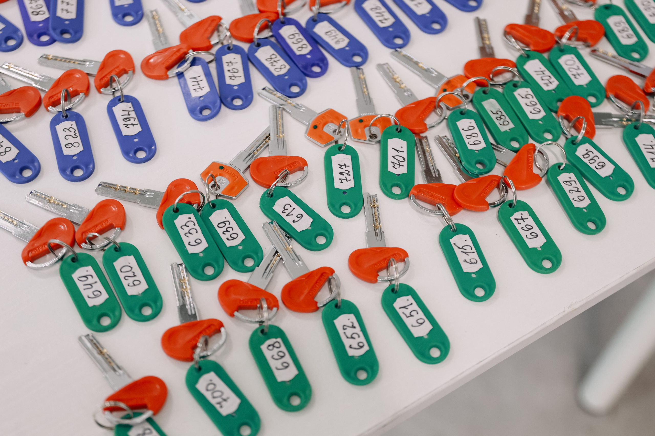 Выдача ключей Кварталы Телецентра 19I56. Фотограф Юлия Мальцева