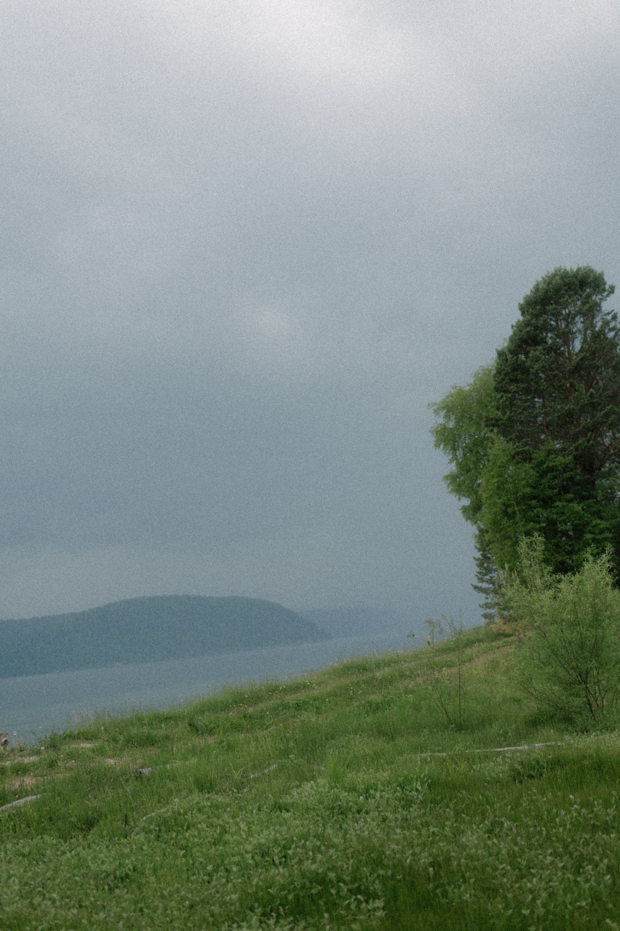 Наш Vibe. Фотограф Иркутск