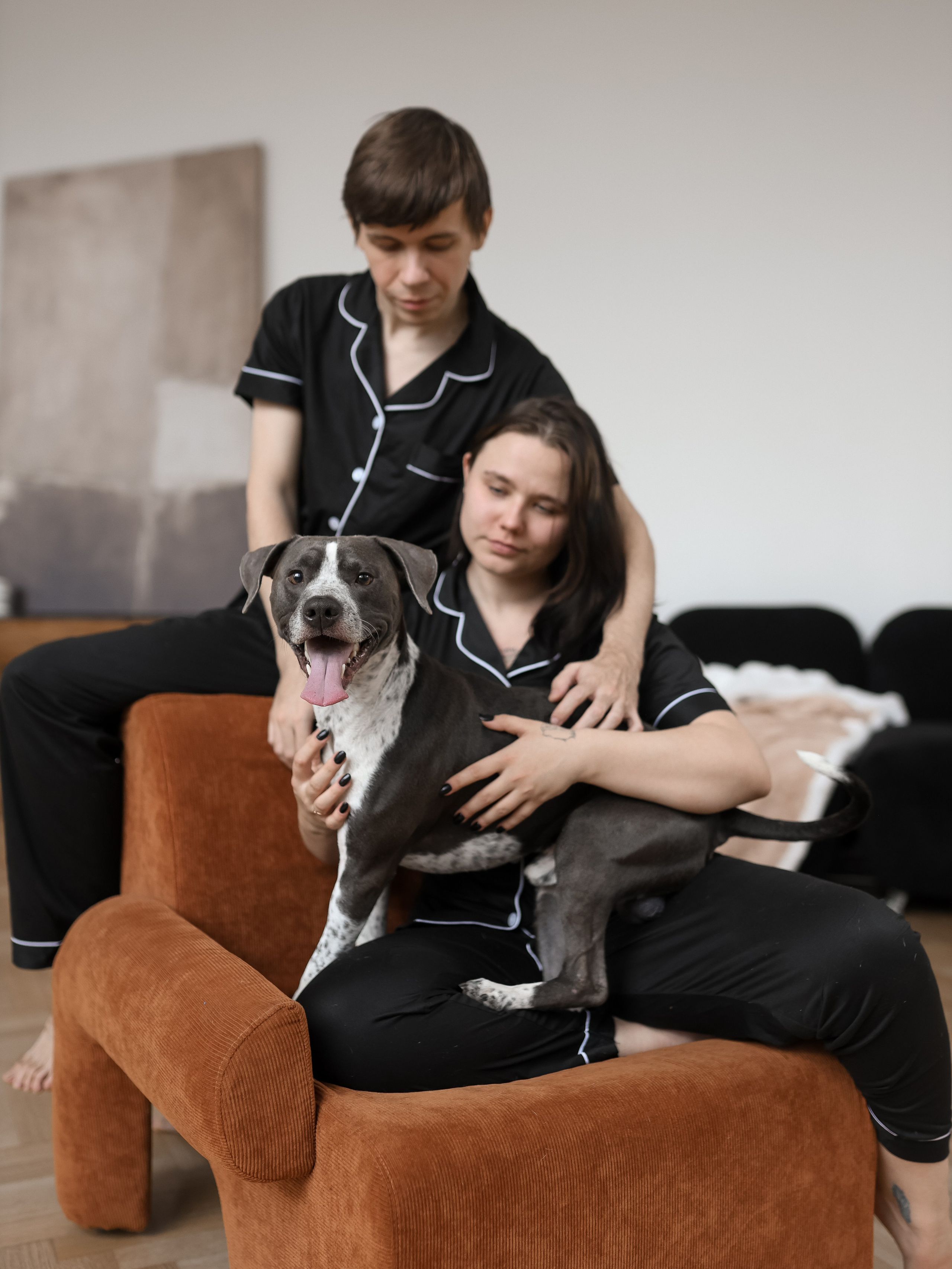 Тортик Даша и Никита. Фотограф-анималист в Москве Кириллова Татьяна