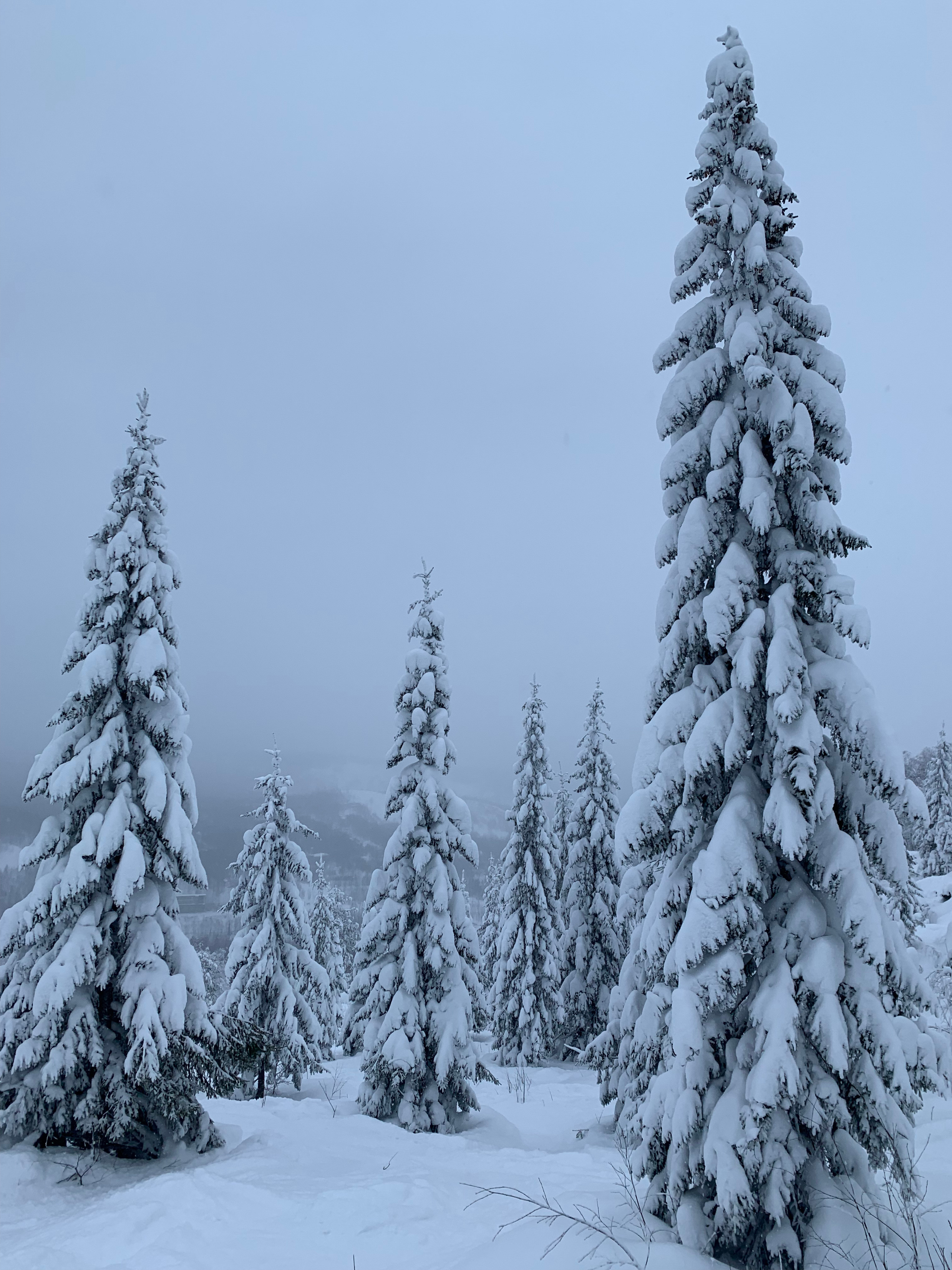 Горнолыжный тур в Губаху из Уфы — Время Приключений