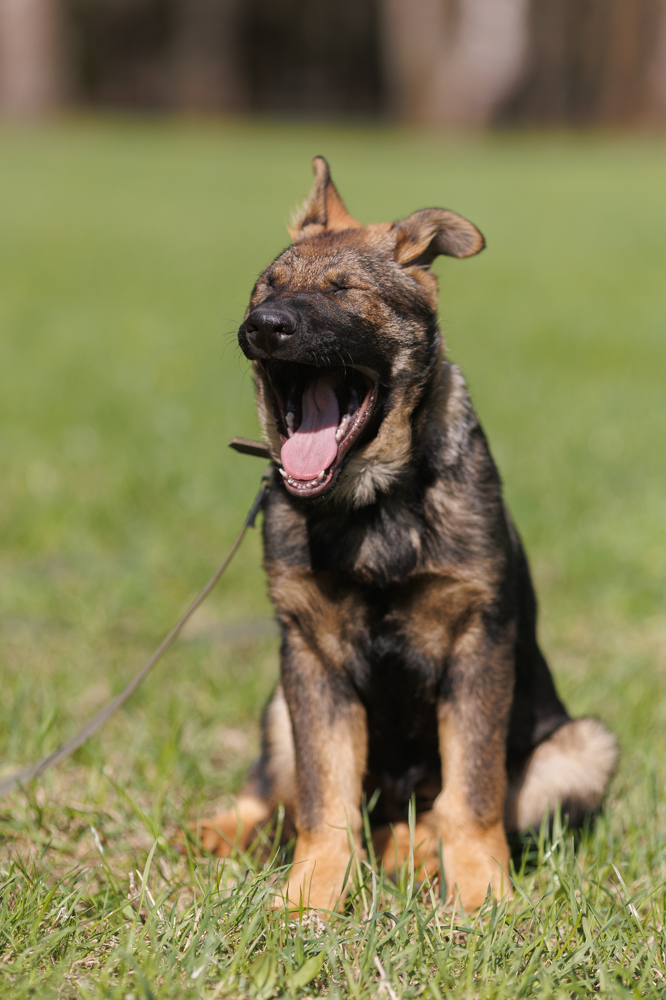 Репортажный фотограф Борис Геер
