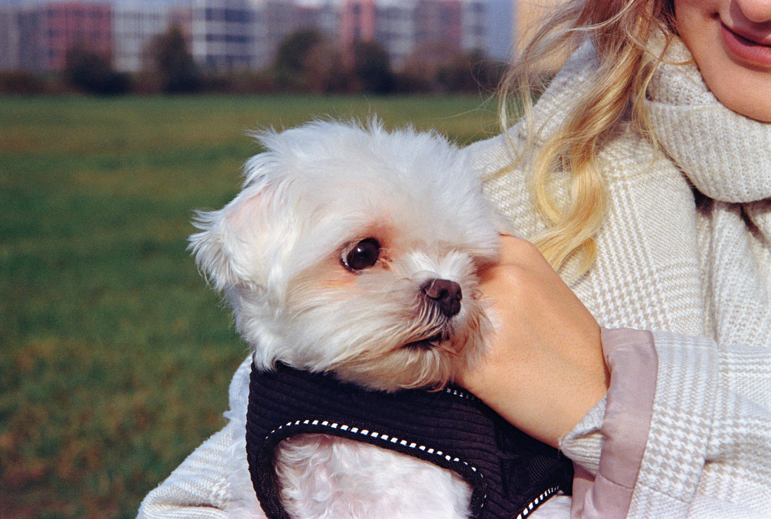 D&B3. Stylist and film photographer Anastasia Shlokova