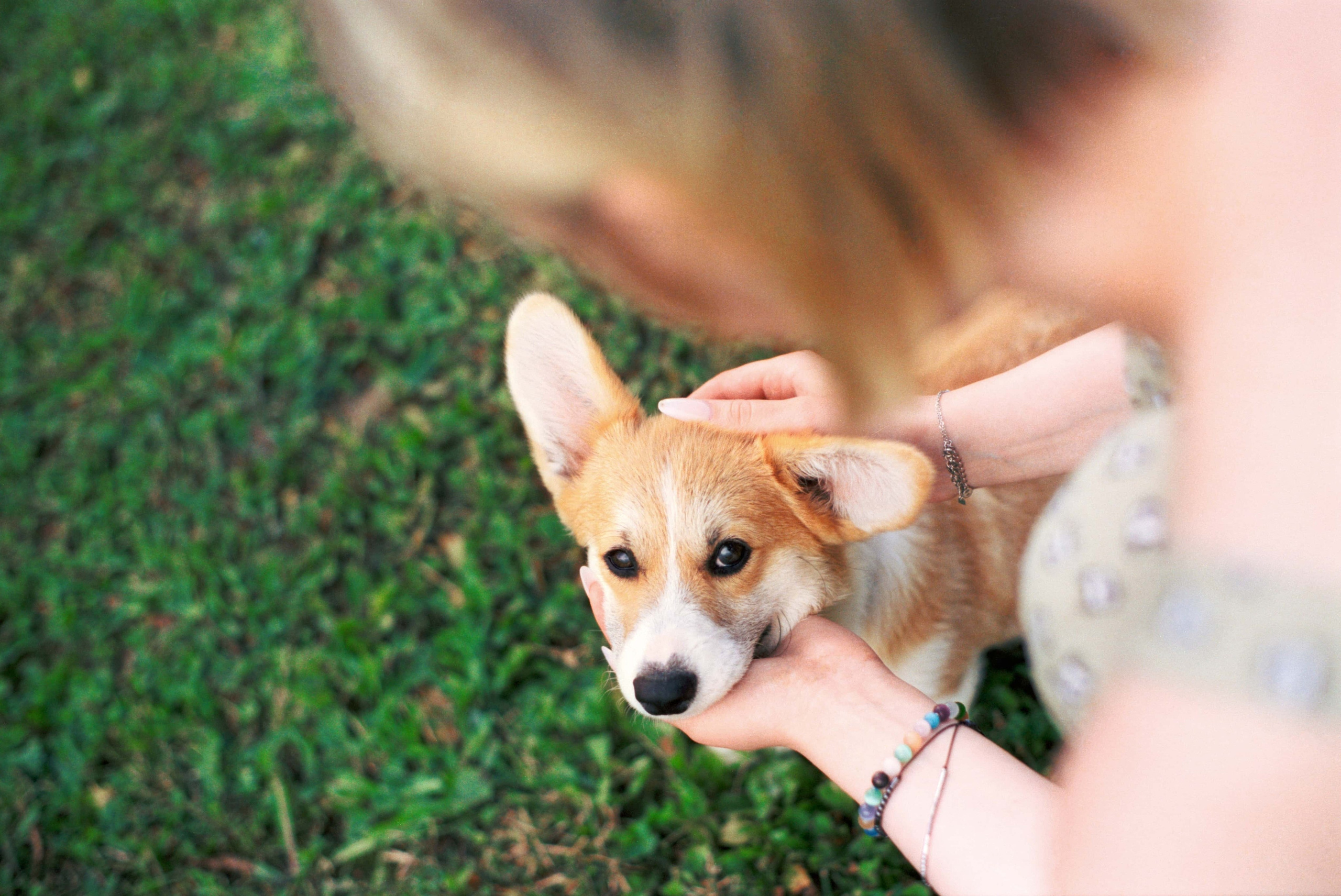 E&V&G. Stylist and film photographer Anastasia Shlokova