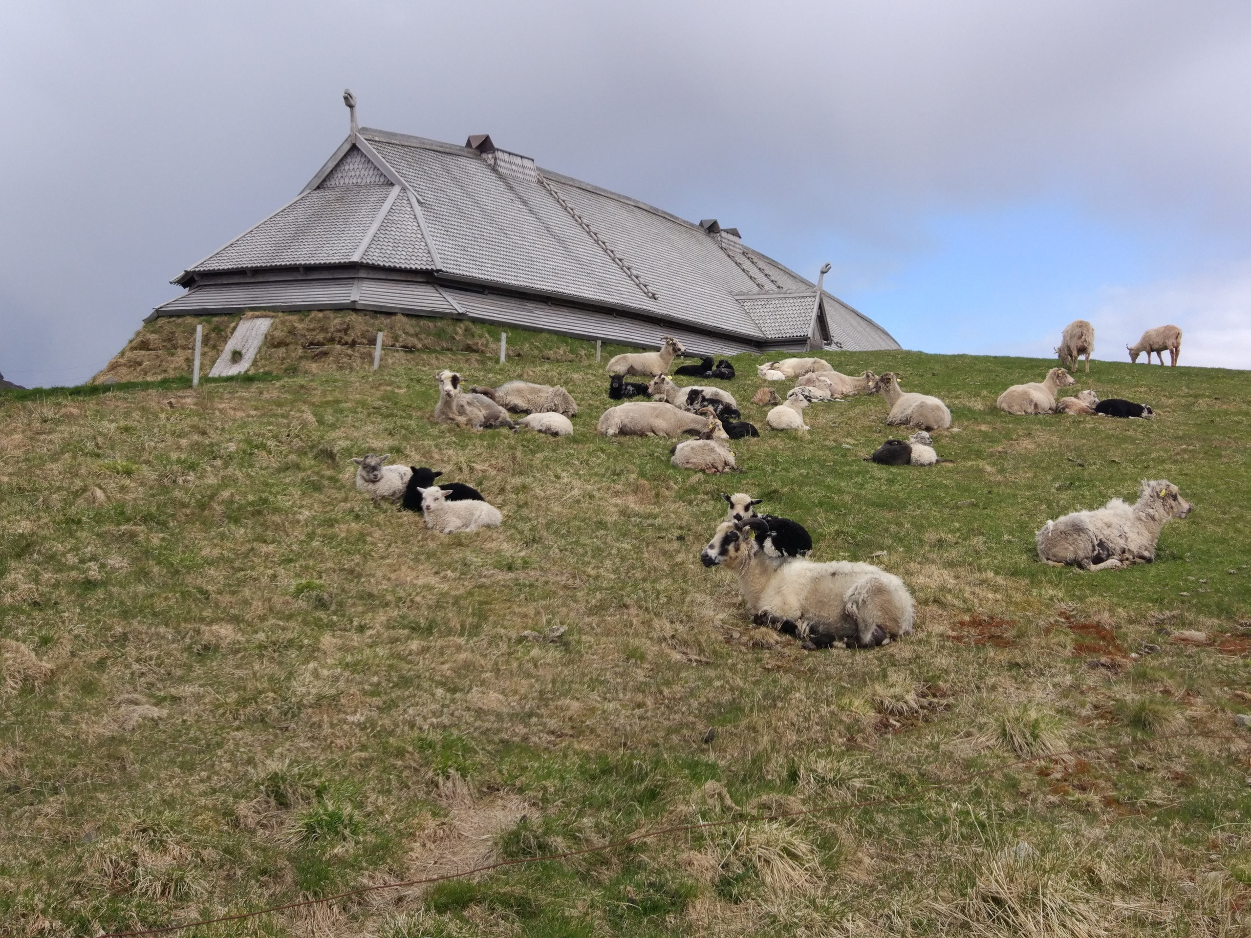 Трофейный тур, Лофотенские острова. Дайвинг-клуб «Капитан Морган», Беларусь