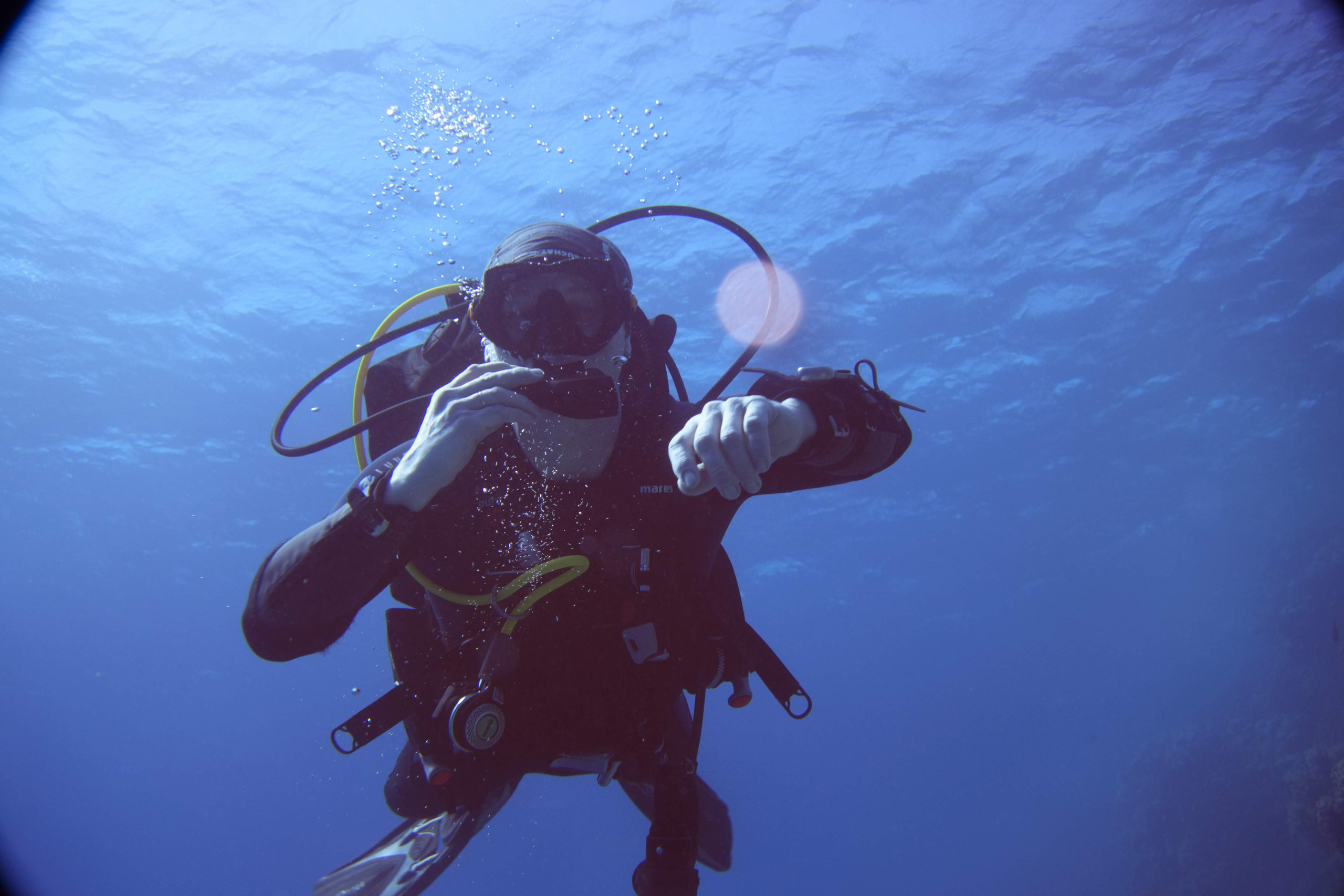 Дайв-сафари, wreck-diving, 2018 г. Дайвинг-клуб «Капитан Морган», Беларусь