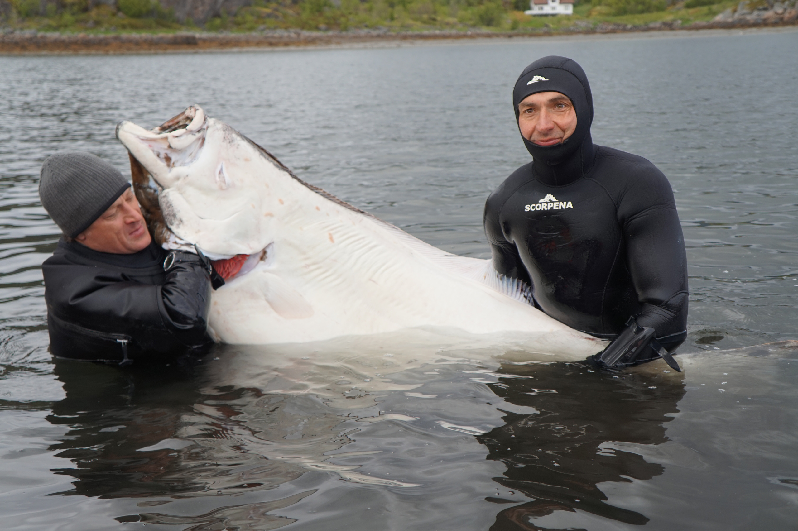Трофейный тур, Лофотенские острова. Дайвинг-клуб «Капитан Морган», Беларусь