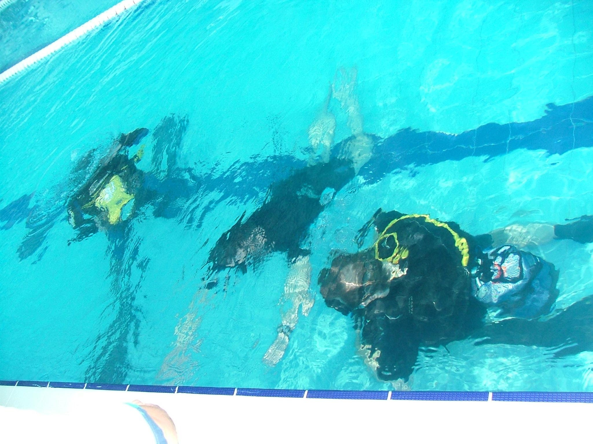 Апноэ, 2005 г, ДВС. Дайвинг-клуб «Капитан Морган», Беларусь