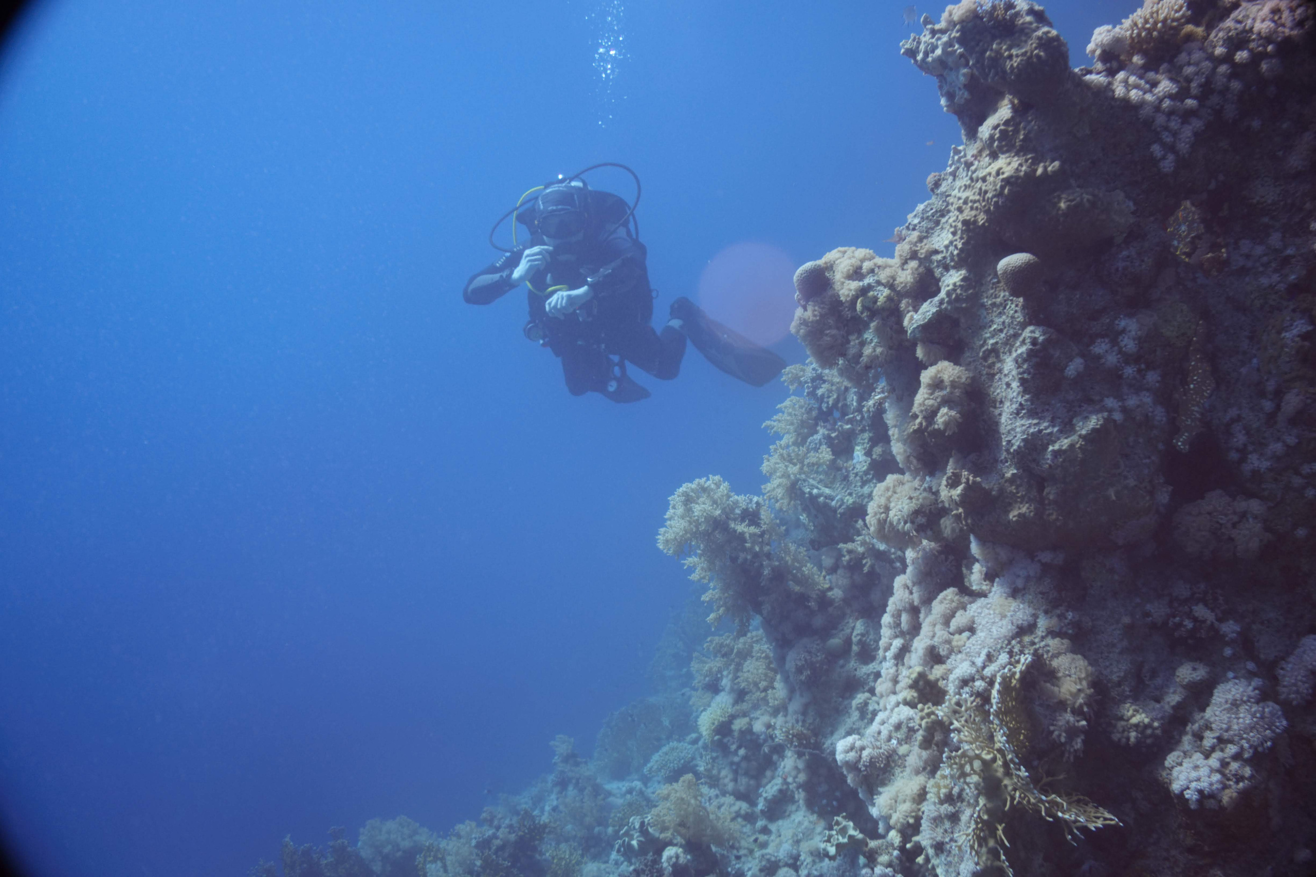 Дайв-сафари, wreck-diving, 2018 г. Дайвинг-клуб «Капитан Морган», Беларусь