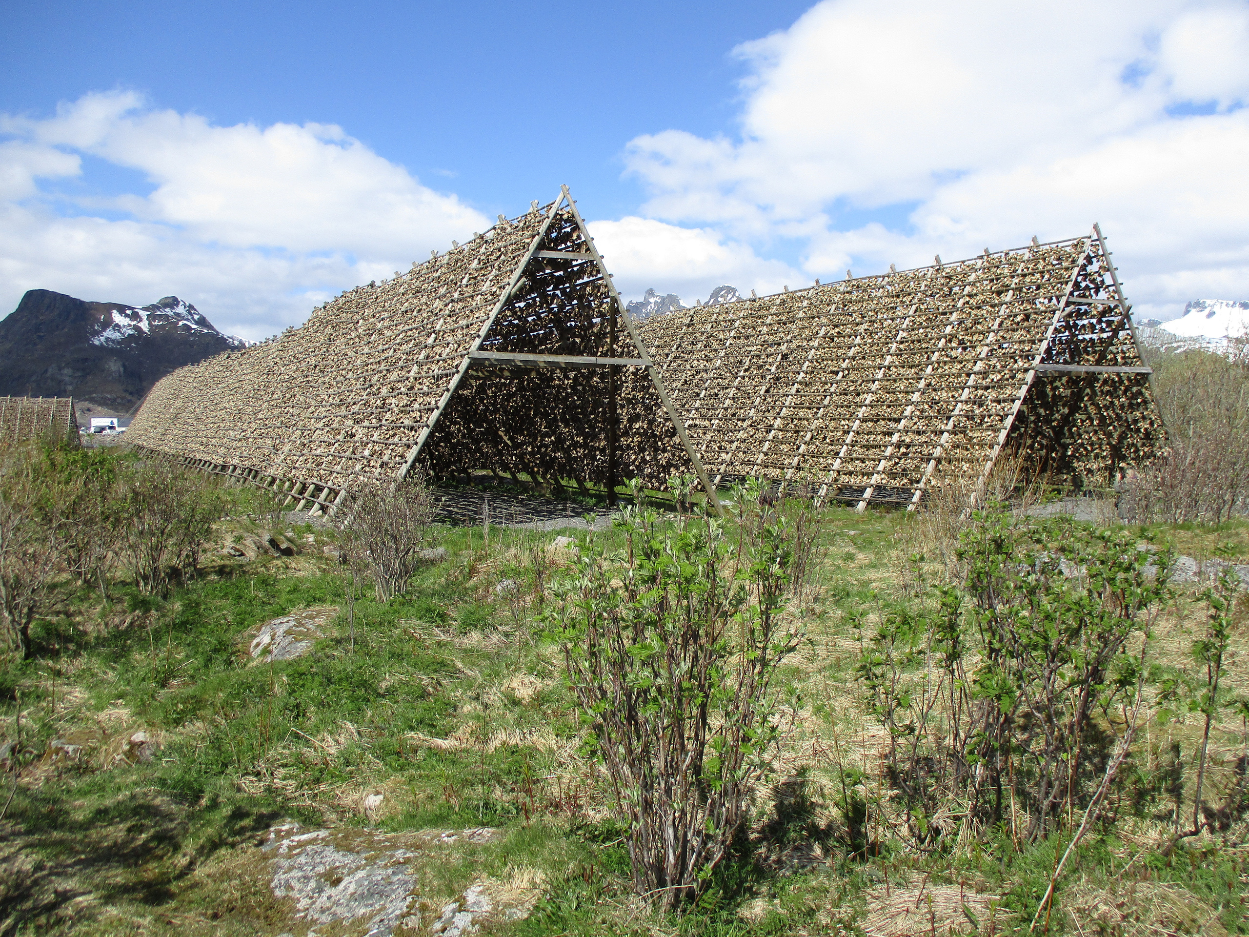 Трофейный тур, Лофотенские острова. Дайвинг-клуб «Капитан Морган», Беларусь