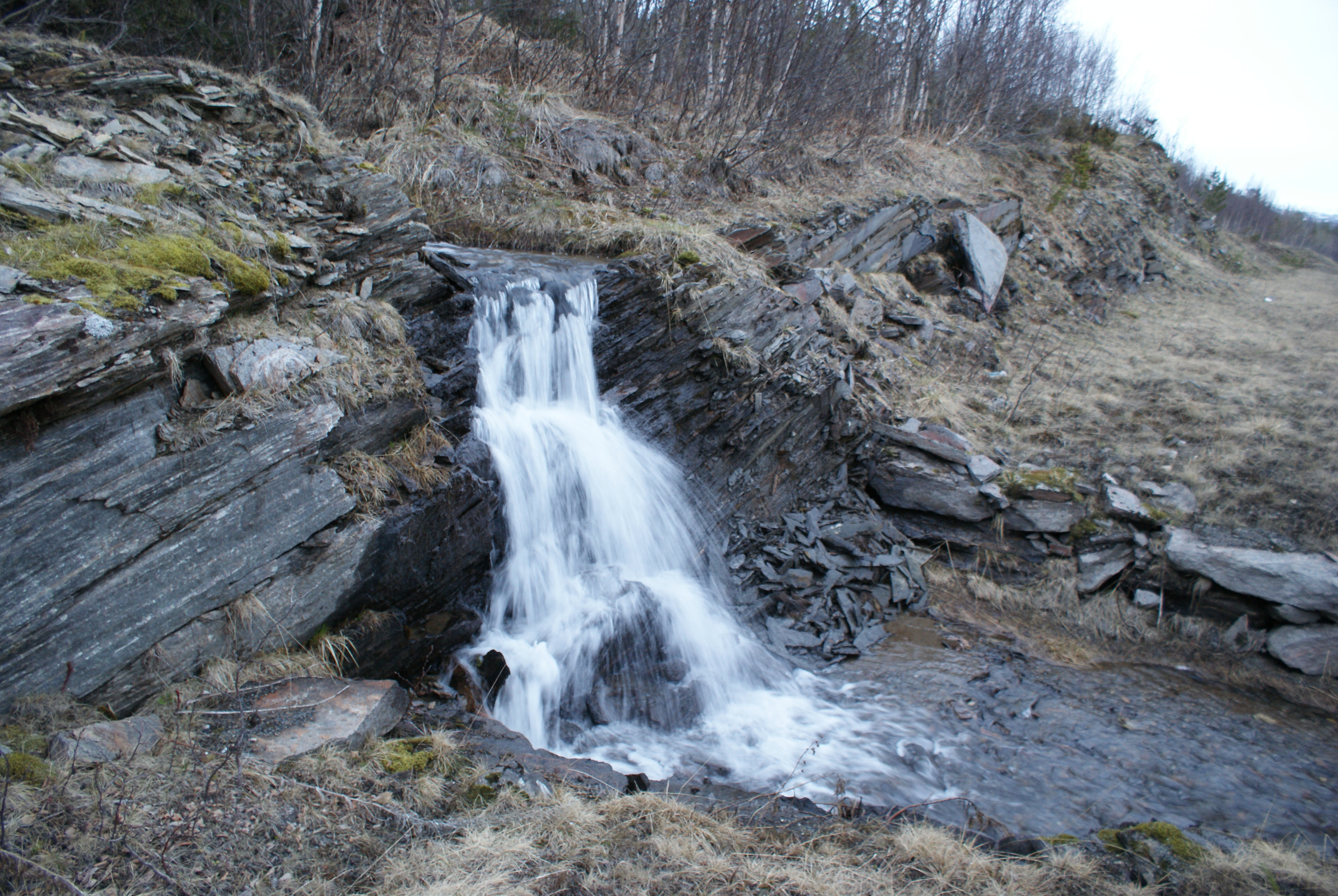 Трофейный тур, Лофотенские острова. Дайвинг-клуб «Капитан Морган», Беларусь