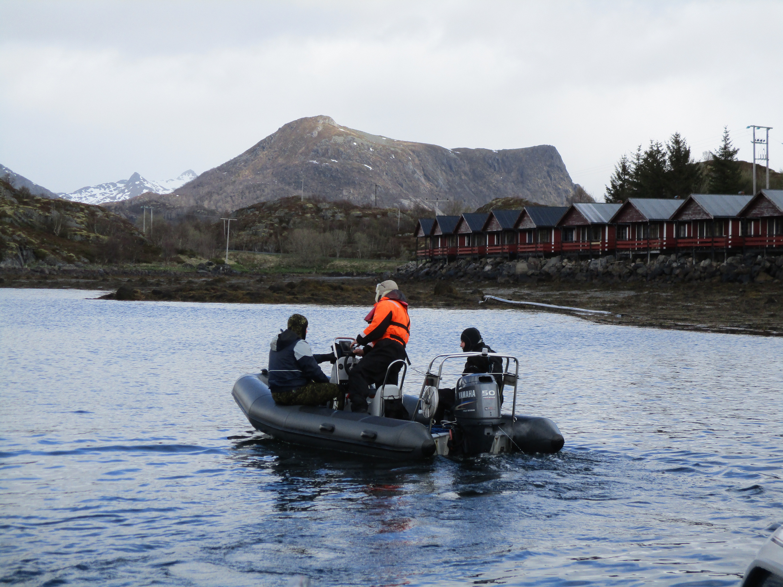 Трофейный тур, Лофотенские острова. Дайвинг-клуб «Капитан Морган», Беларусь