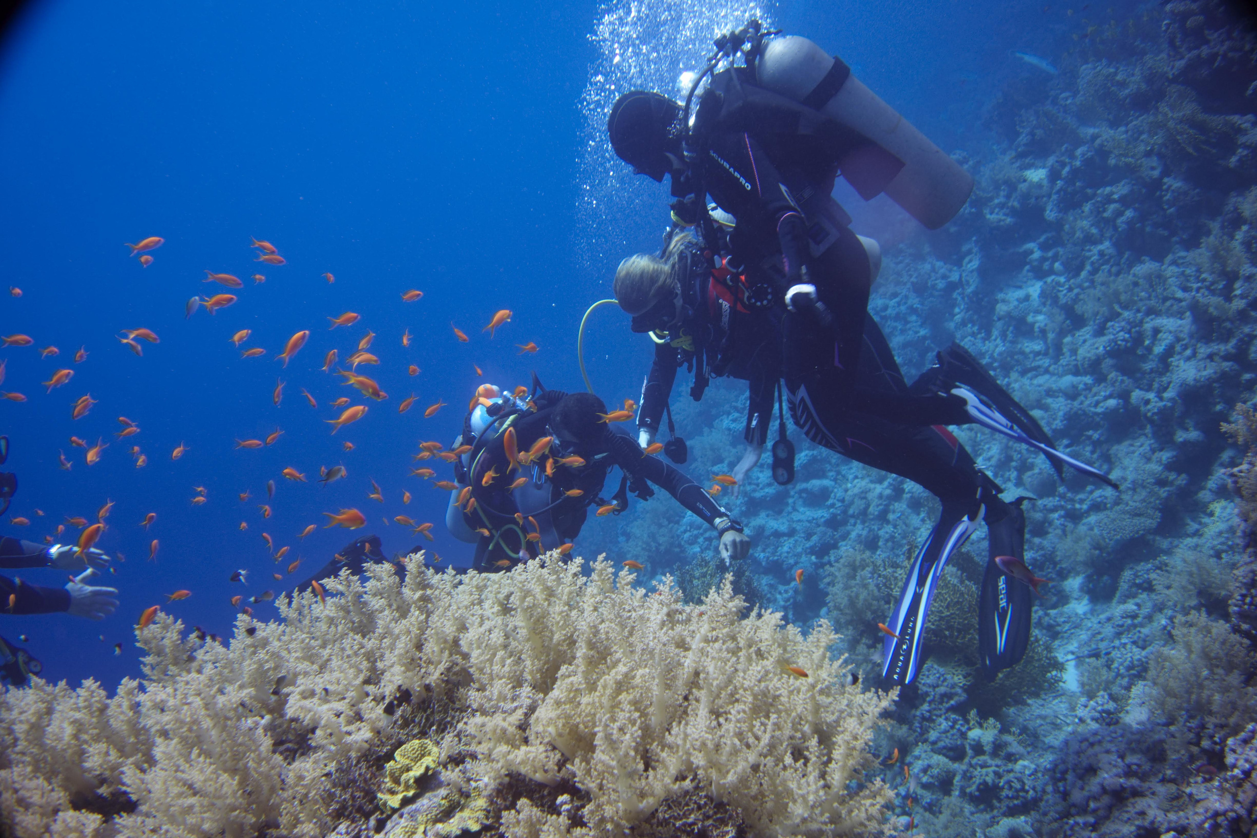 Дайв-сафари, wreck-diving, 2018 г. Дайвинг-клуб «Капитан Морган», Беларусь