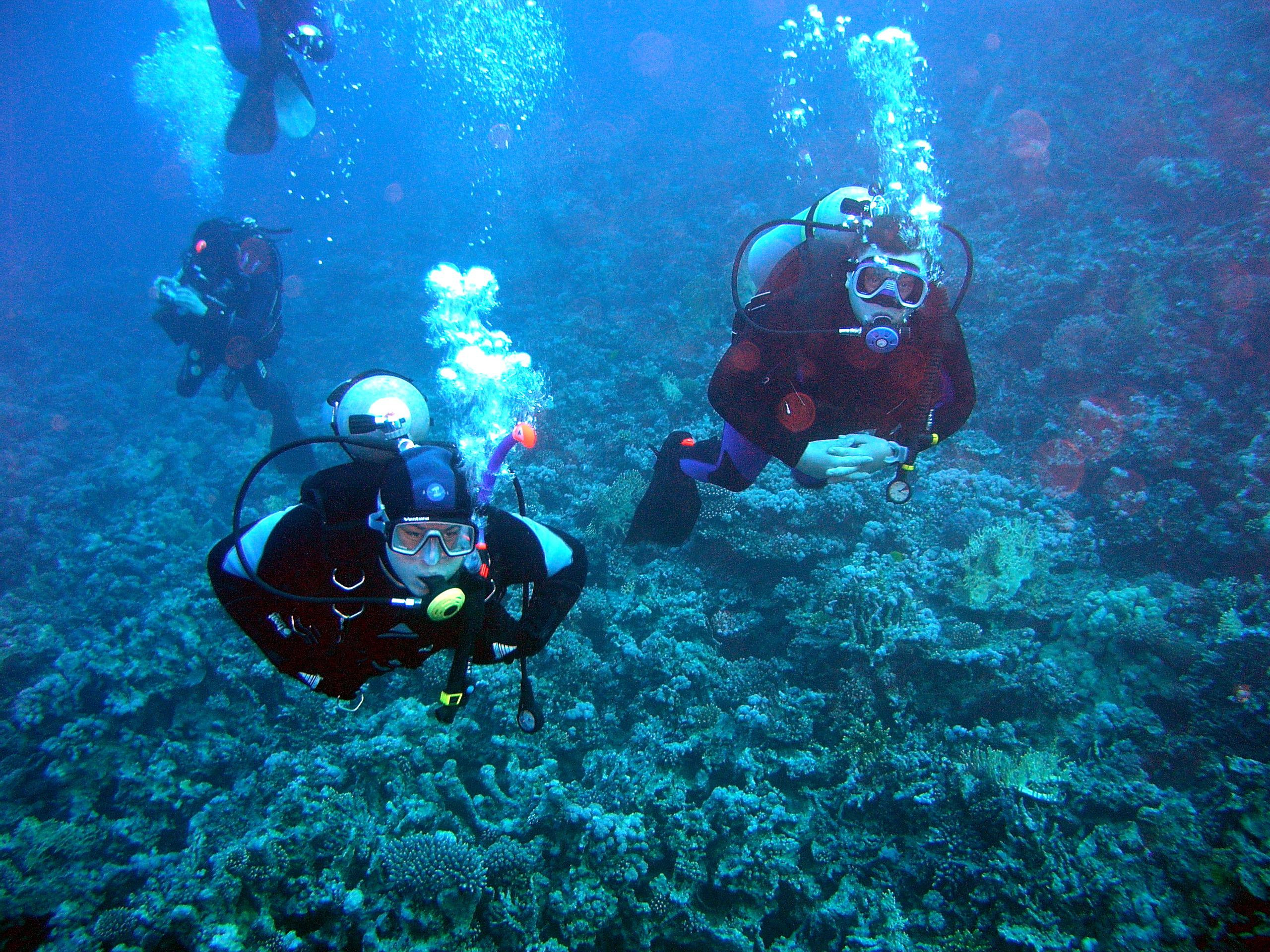 Дайв-сафари, wreck-diving. Дайвинг-клуб «Капитан Морган», Беларусь