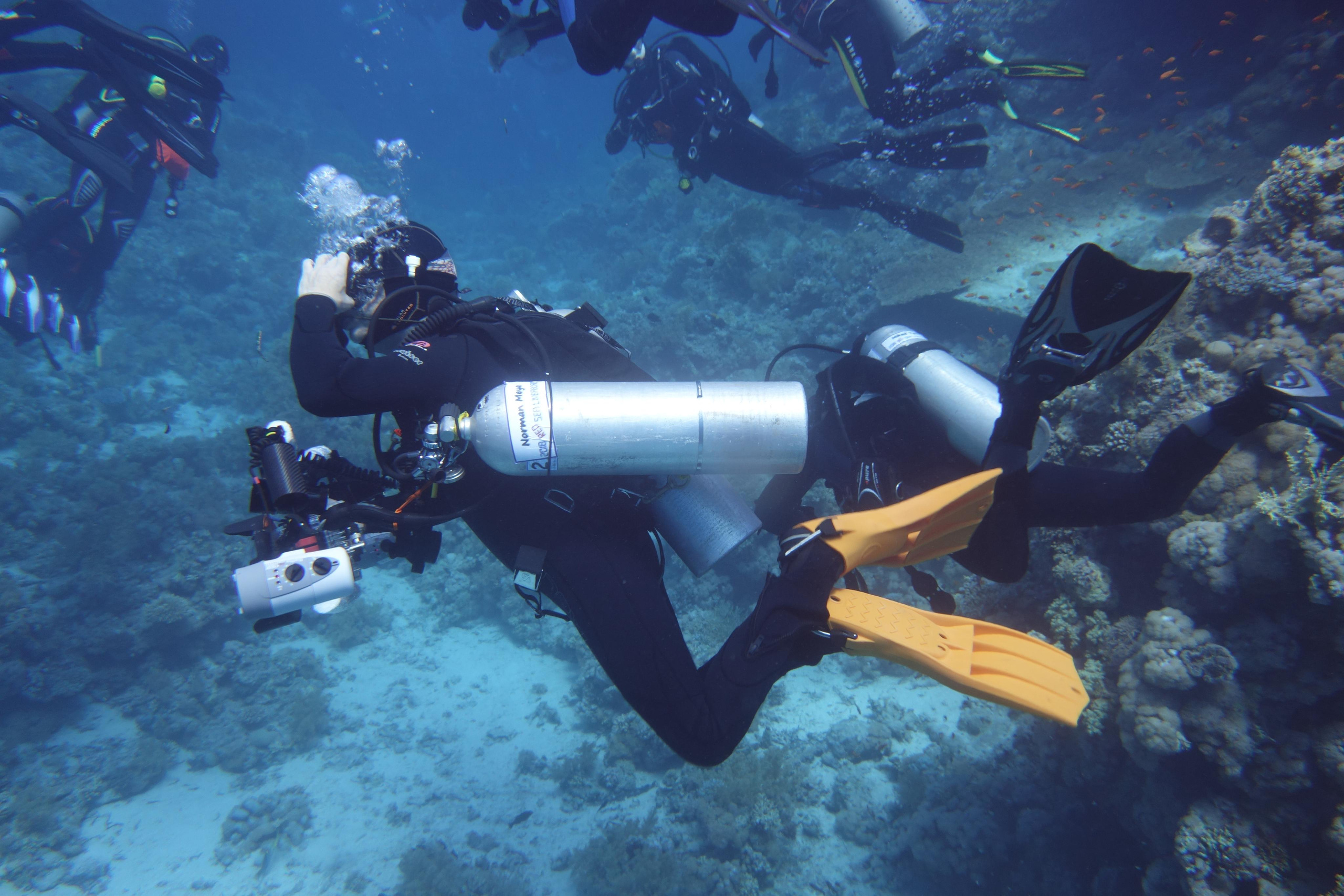 Египет. Дайвинг-клуб «Капитан Морган», Беларусь