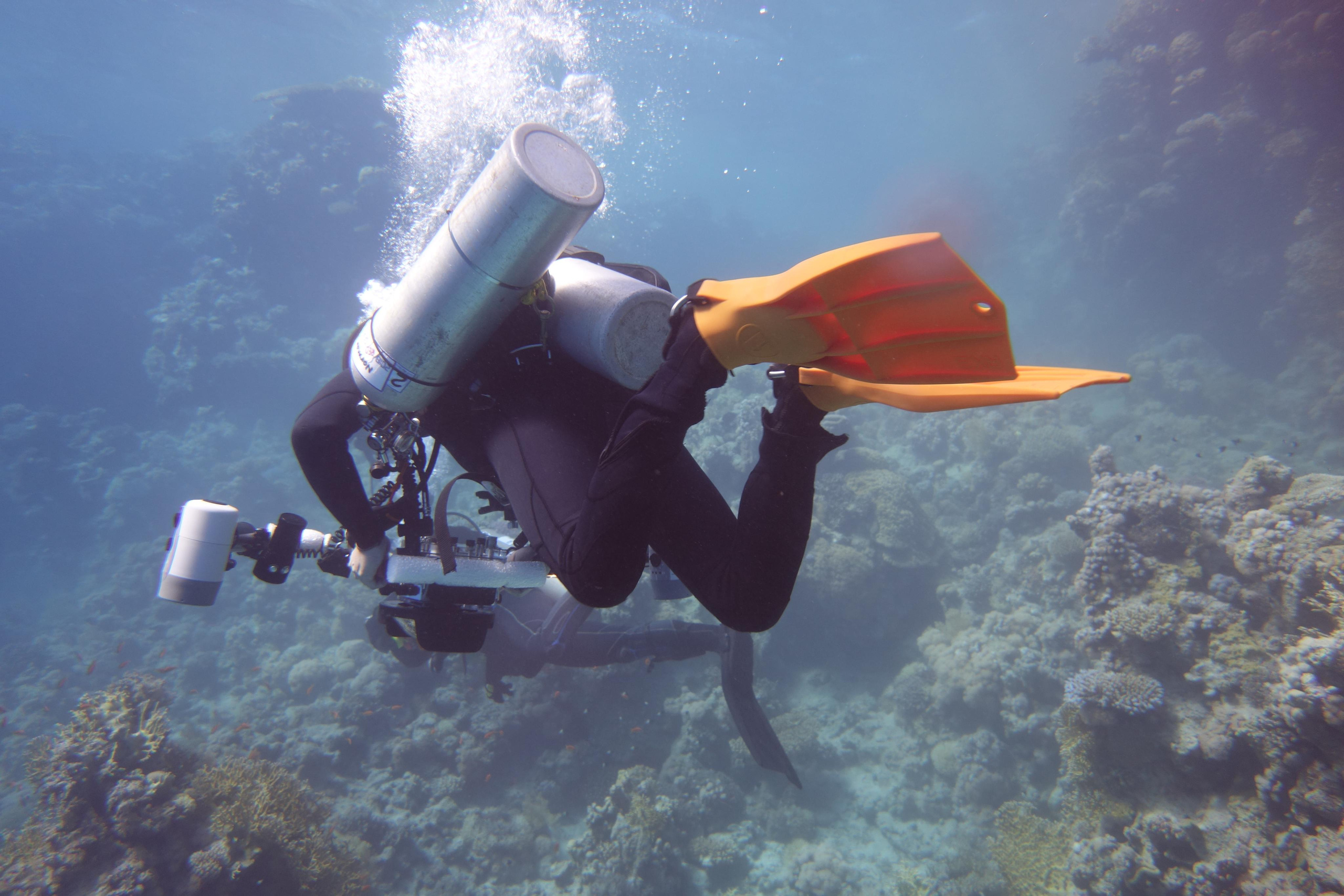 Дайв-сафари, wreck-diving, 2018 г. Дайвинг-клуб «Капитан Морган», Беларусь