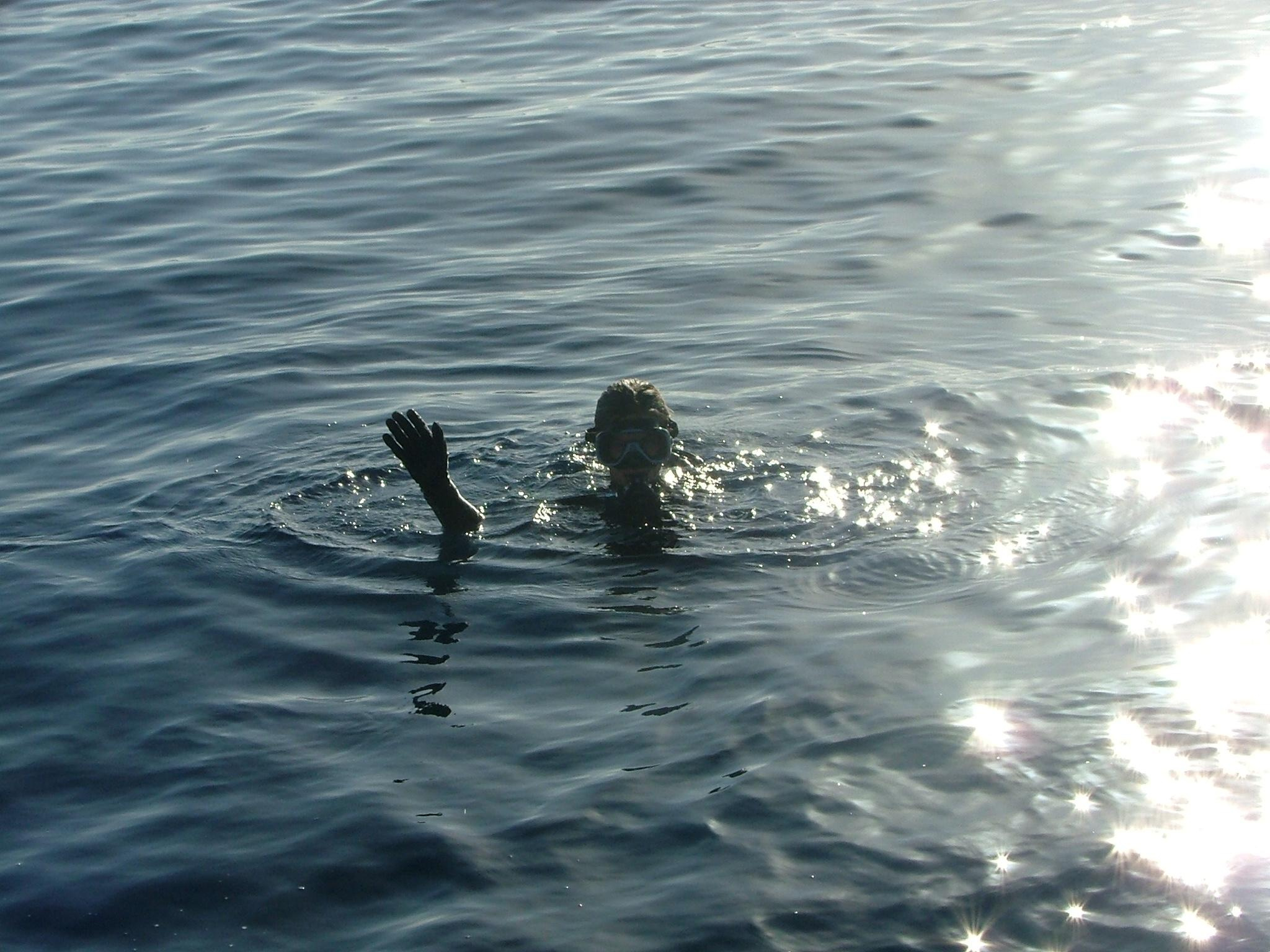 Дайв-сафари Black Pearl. Дайвинг-клуб «Капитан Морган», Беларусь