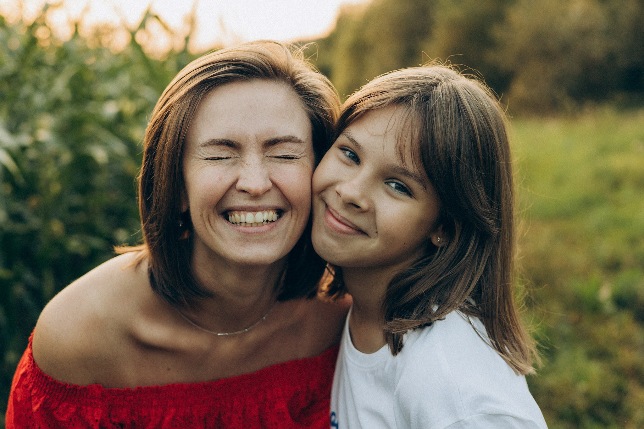 В кукурузе. Главная