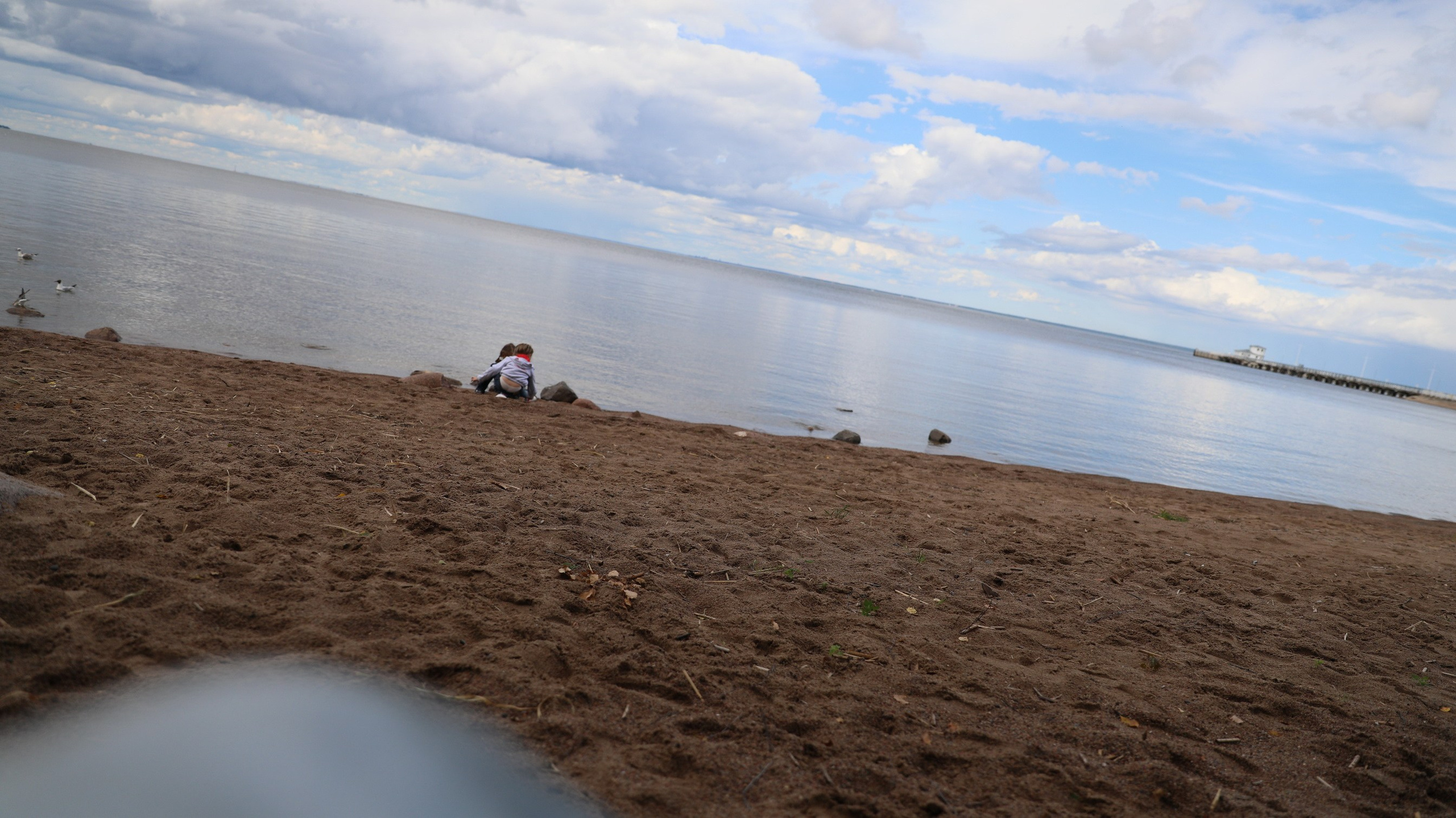 Пых 14 07 2020. Заставка