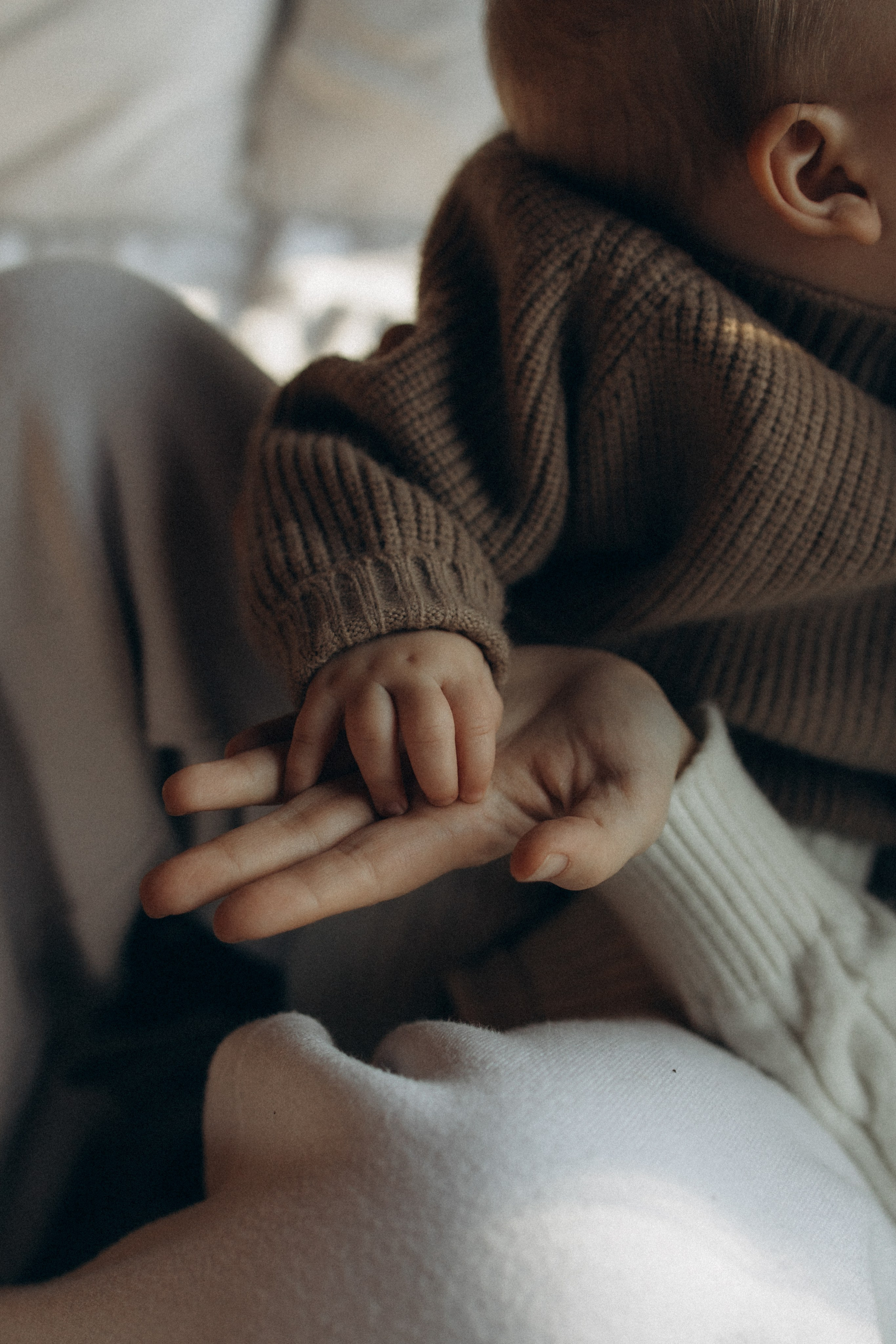 Домашние истории. Семейный фотограф Анастасия Боярышева