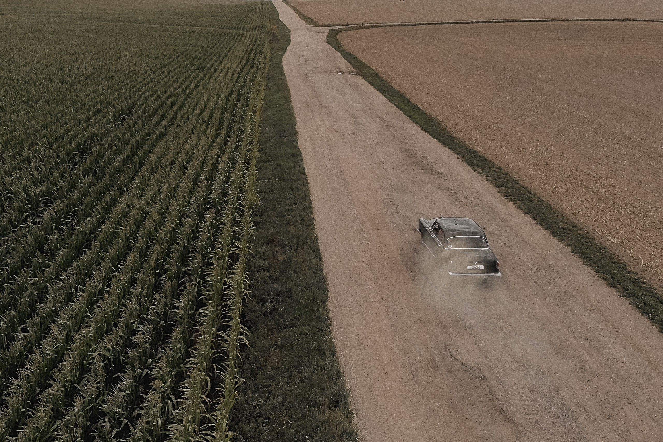 Serg + Anna. Фотограф/видеомейкер в Минске, Москве, Витебске, видеосьемка