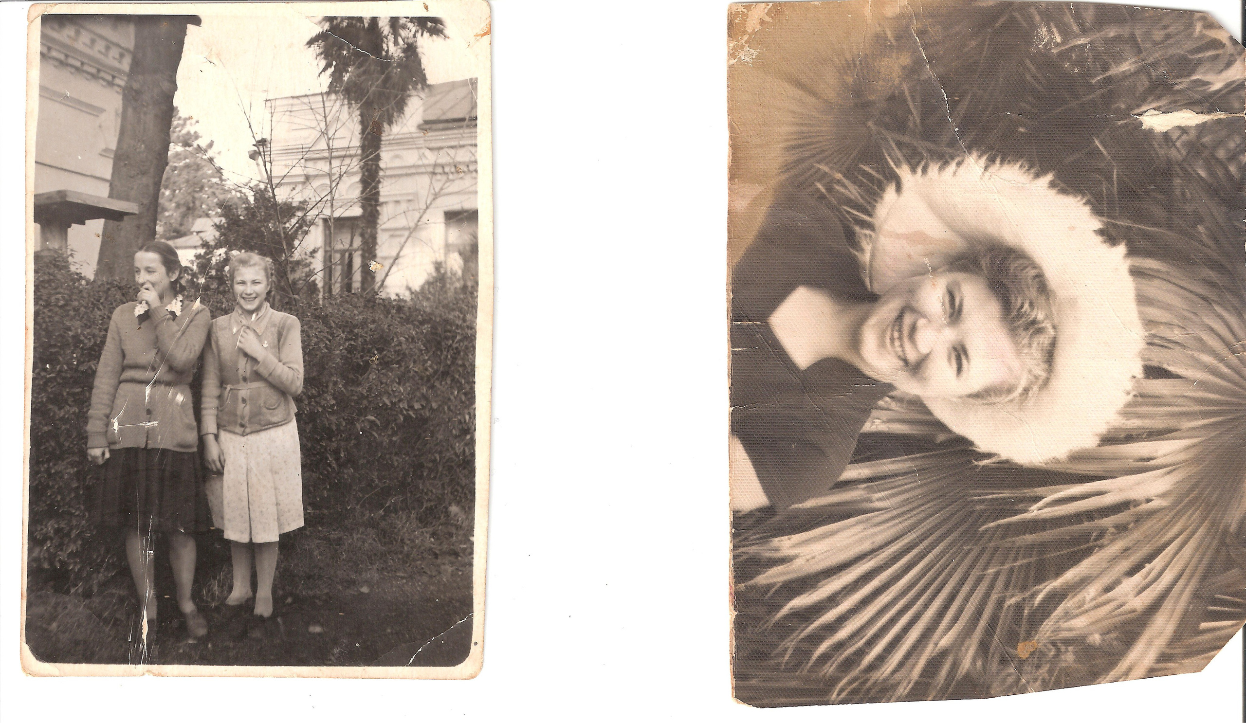 Фотография с пальмой. Курортное дело