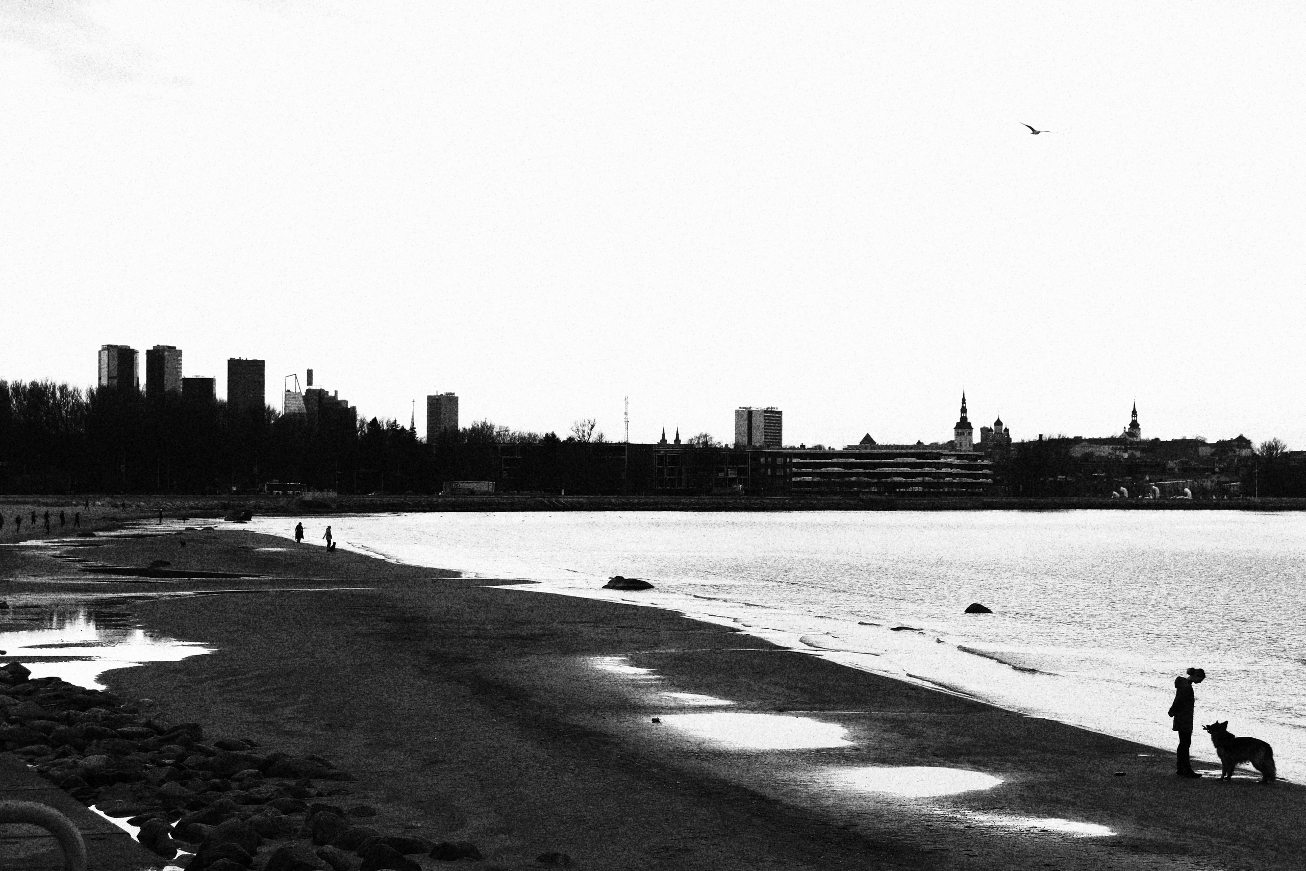 Tallinn. Juliarubis.com