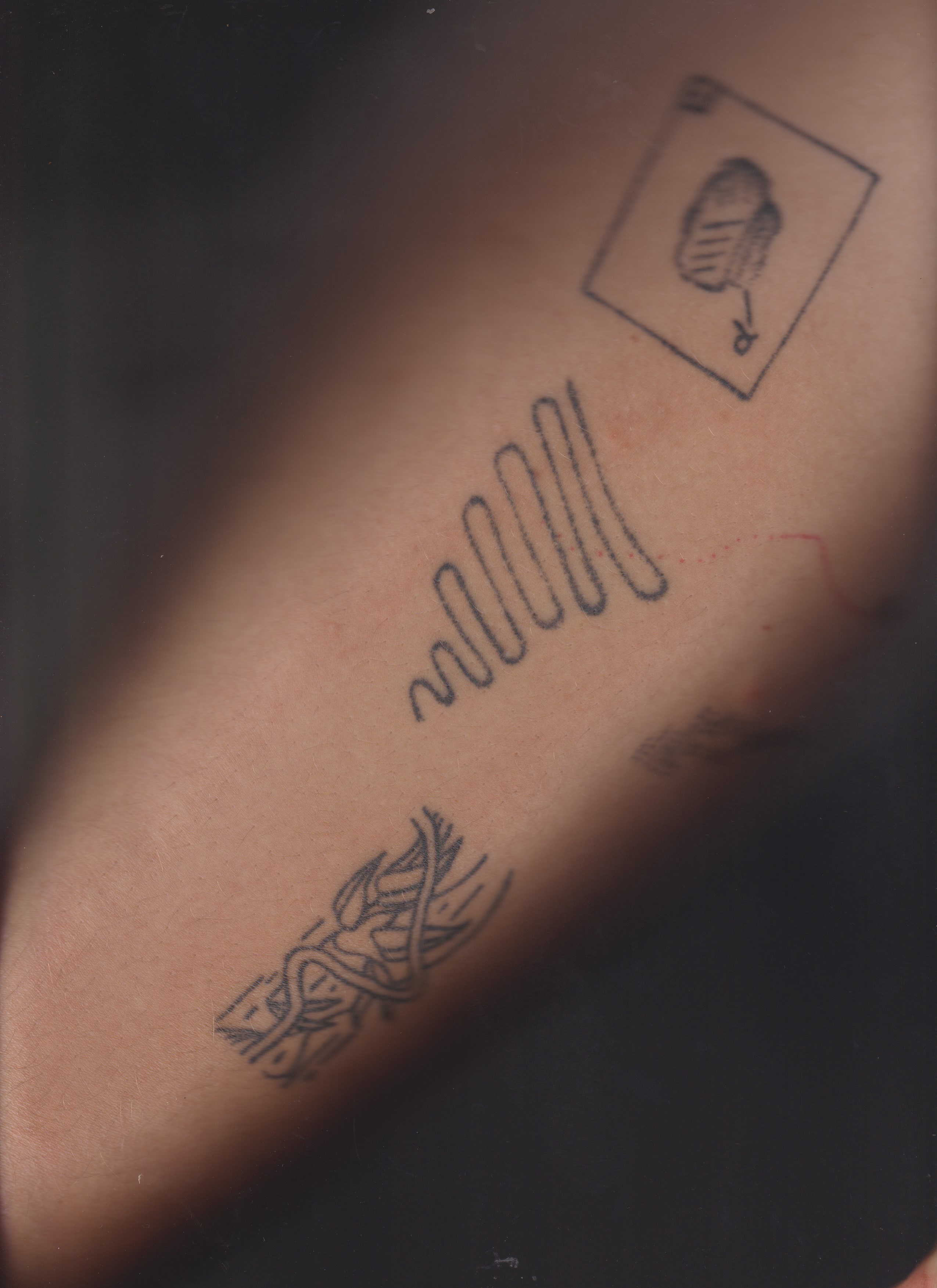 SEDIMENTS AND FOSSILS. Xexexena.ru