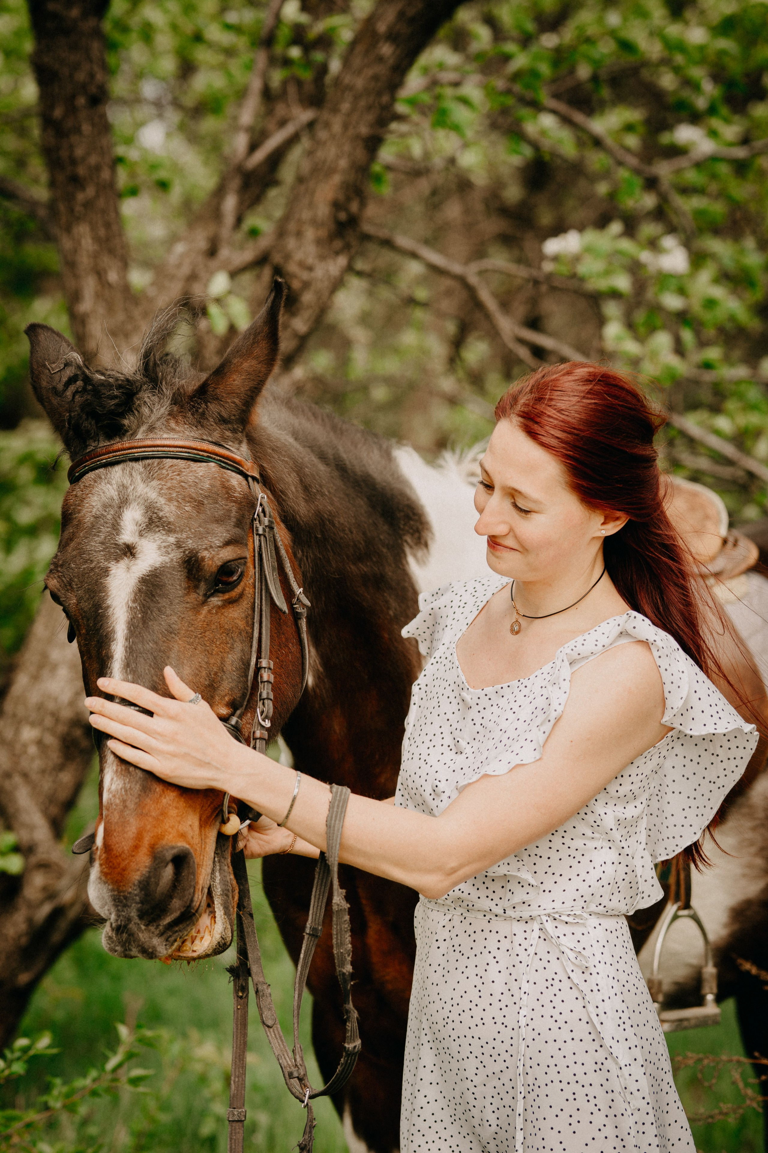 С лошадьми. Главная