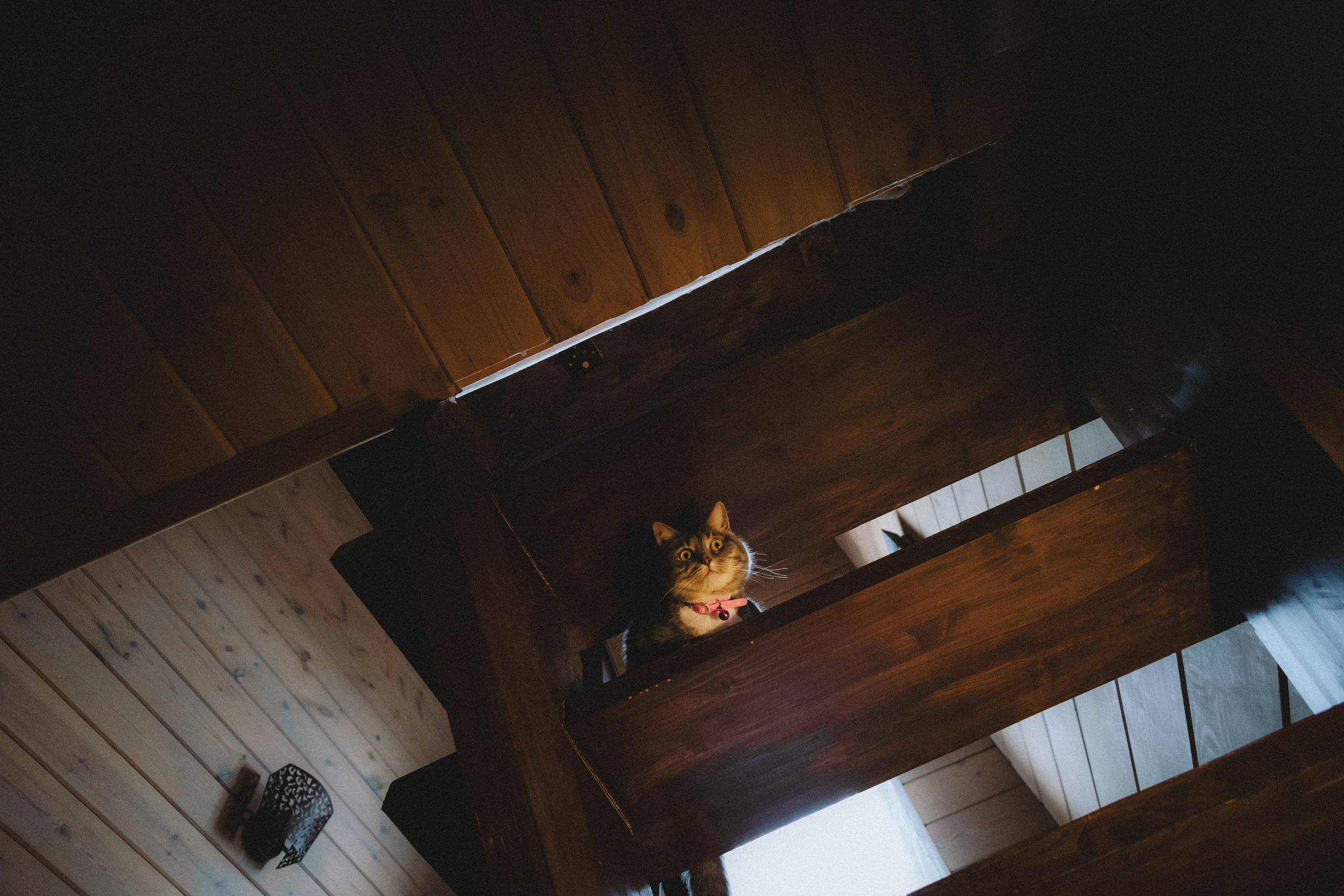 Леброн, Муся и их семья