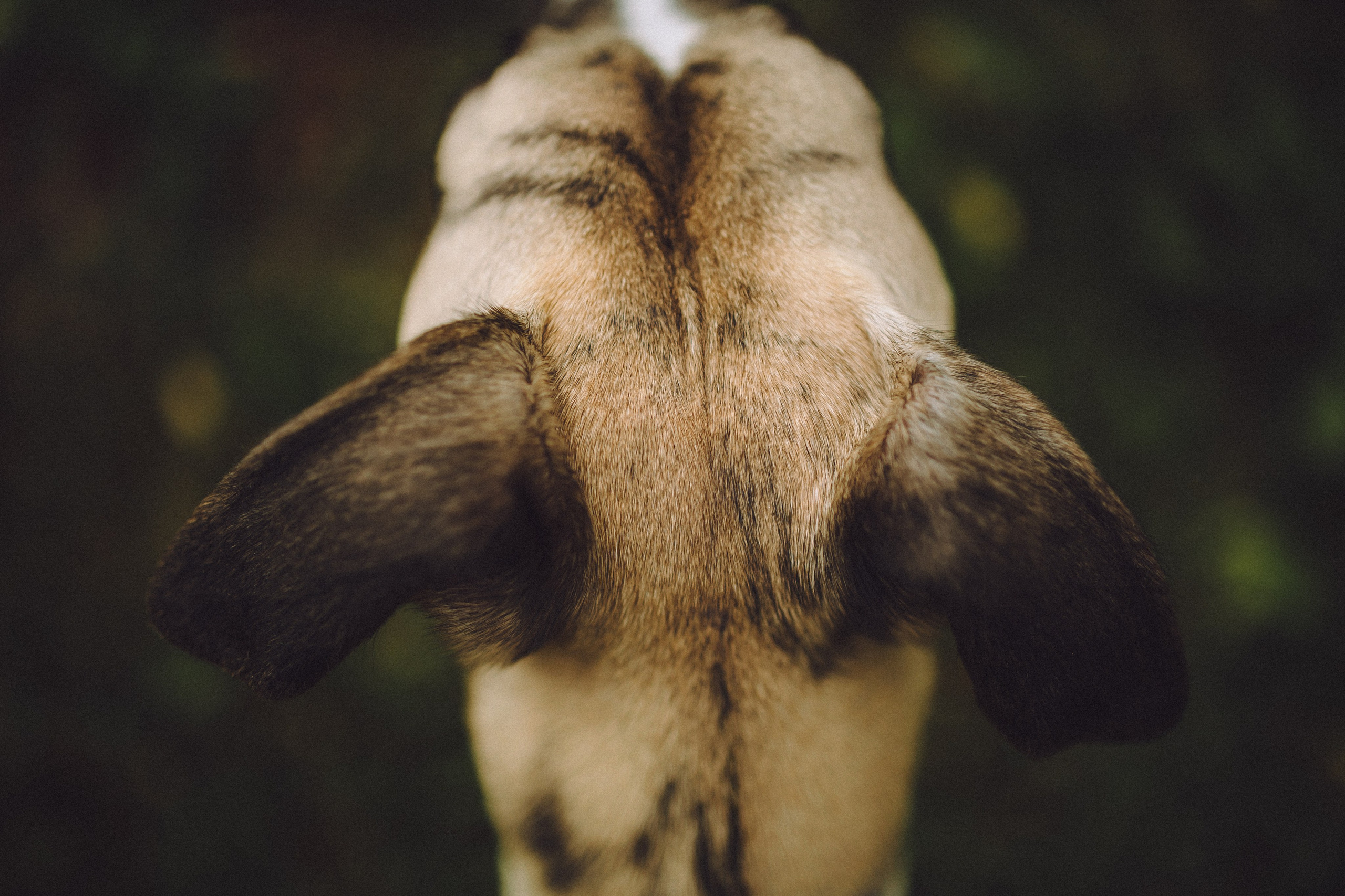 Ирина, Илья и Рик