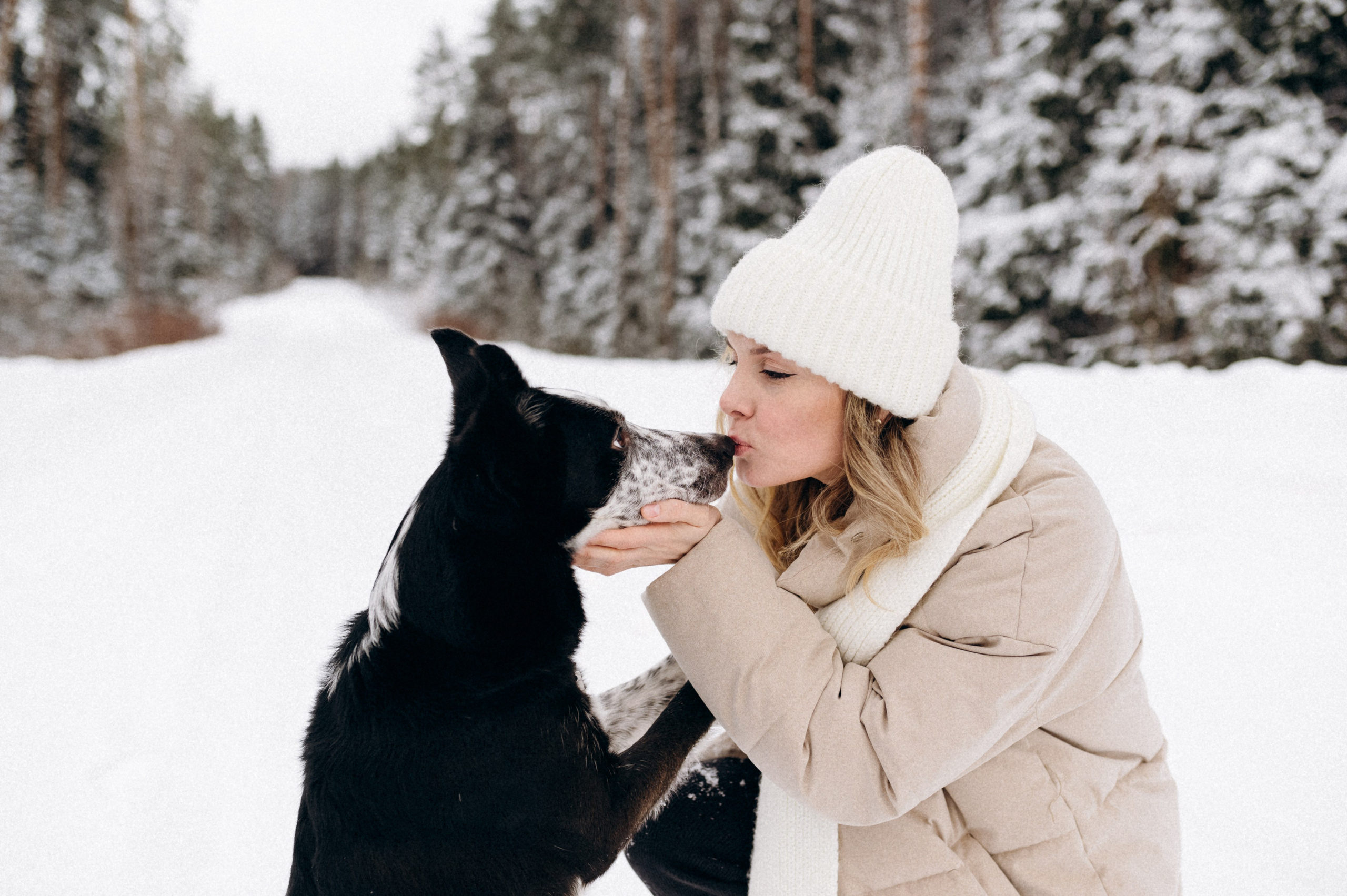 Аня и Милан. Фотограф анималист в Москве Ольга Агушева