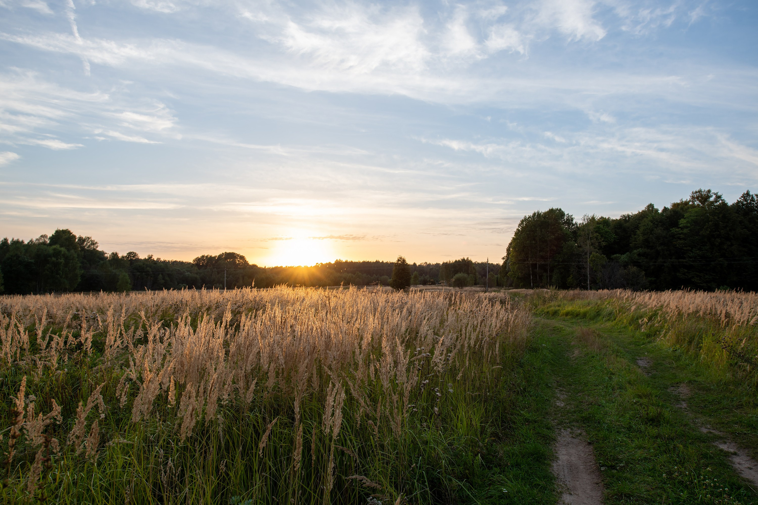 Фотографии Национальный парк Угра. Фотограф спортивные события, недвижимость, турбизнес