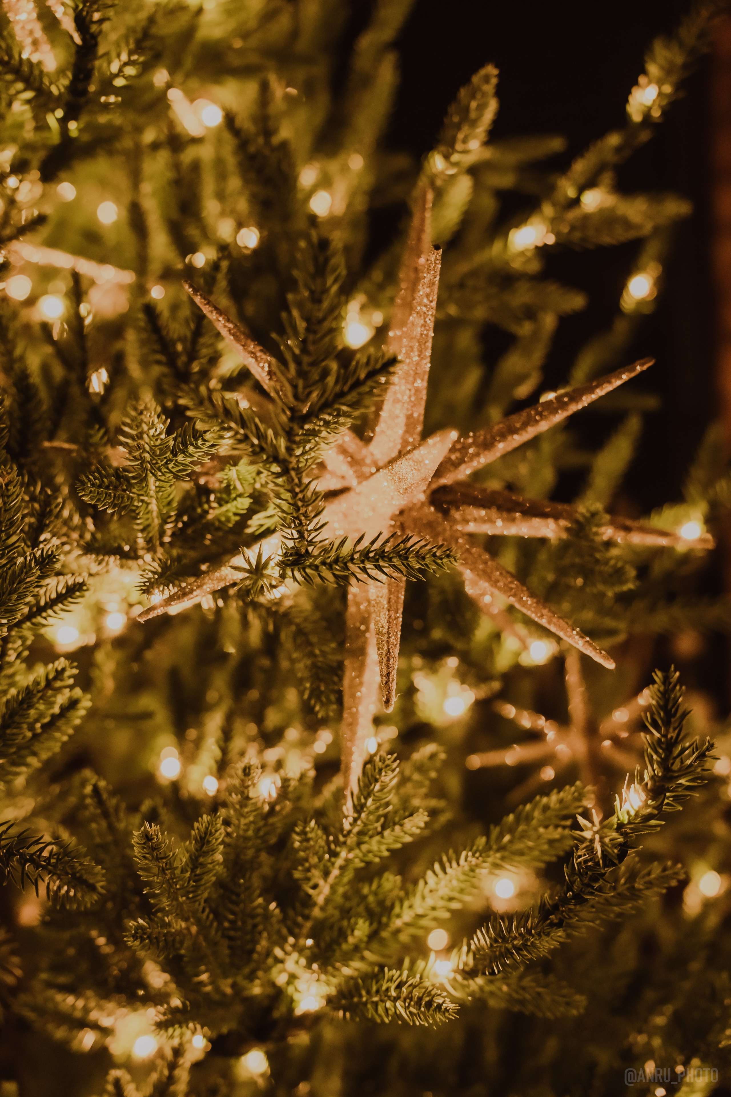 День Альфреда Хичкока. Репортажный фотограф Анастасия Рубцова