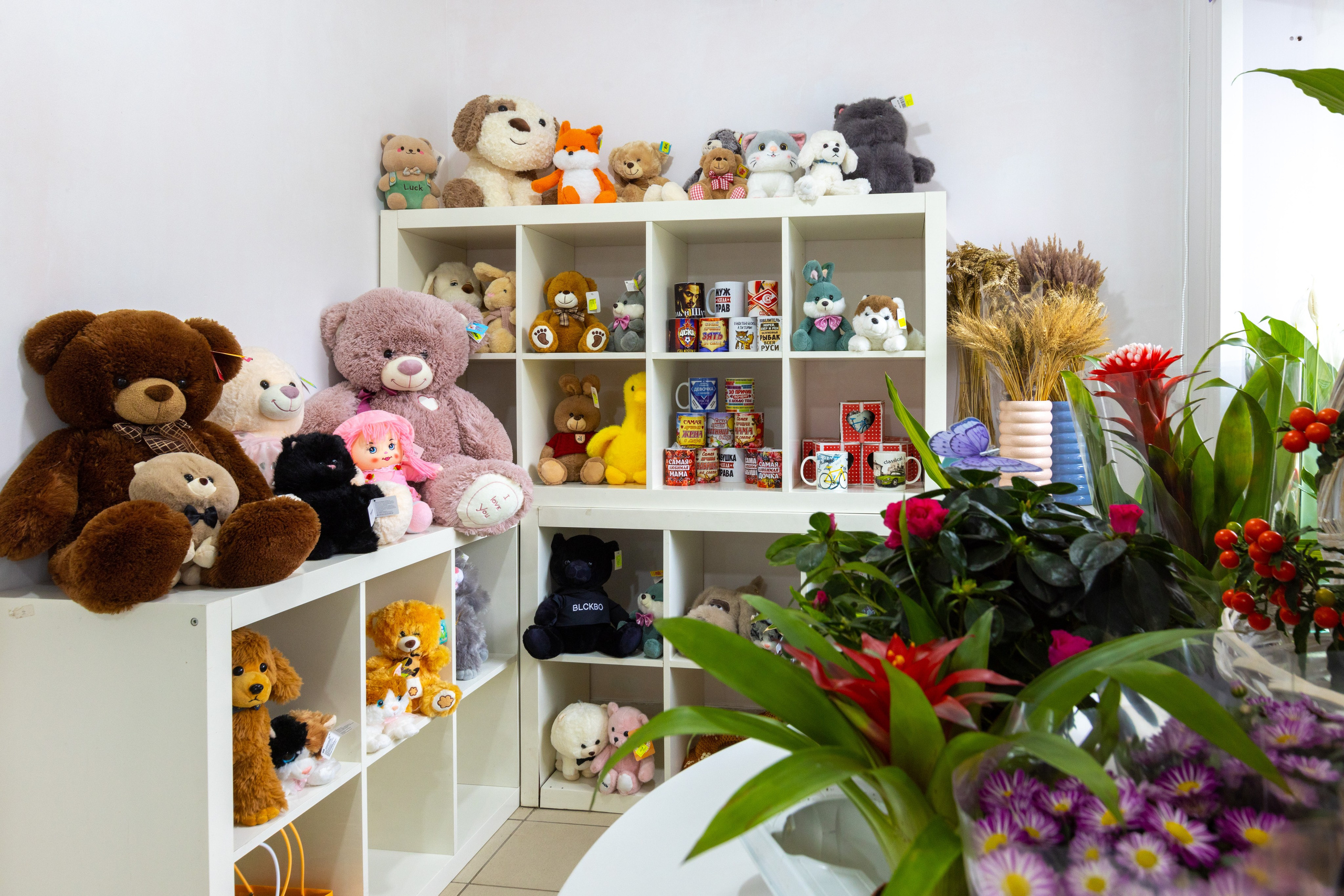 Цветы на Фрунзе «FF». Фотограф в Туле Крупский АнДРей. Фотостудия «КАДР71» в Туле