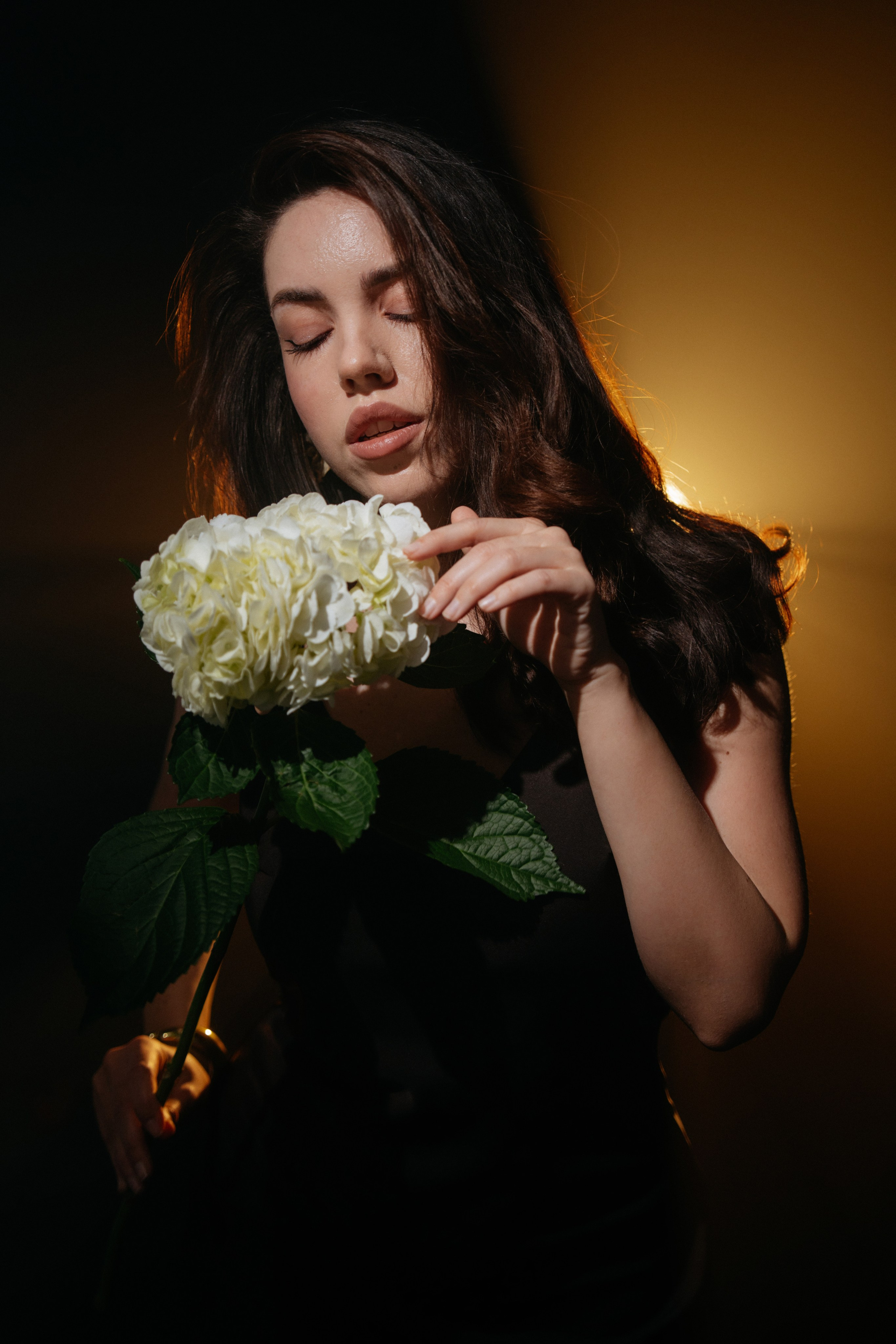 Violetta. Фотограф Волгоград