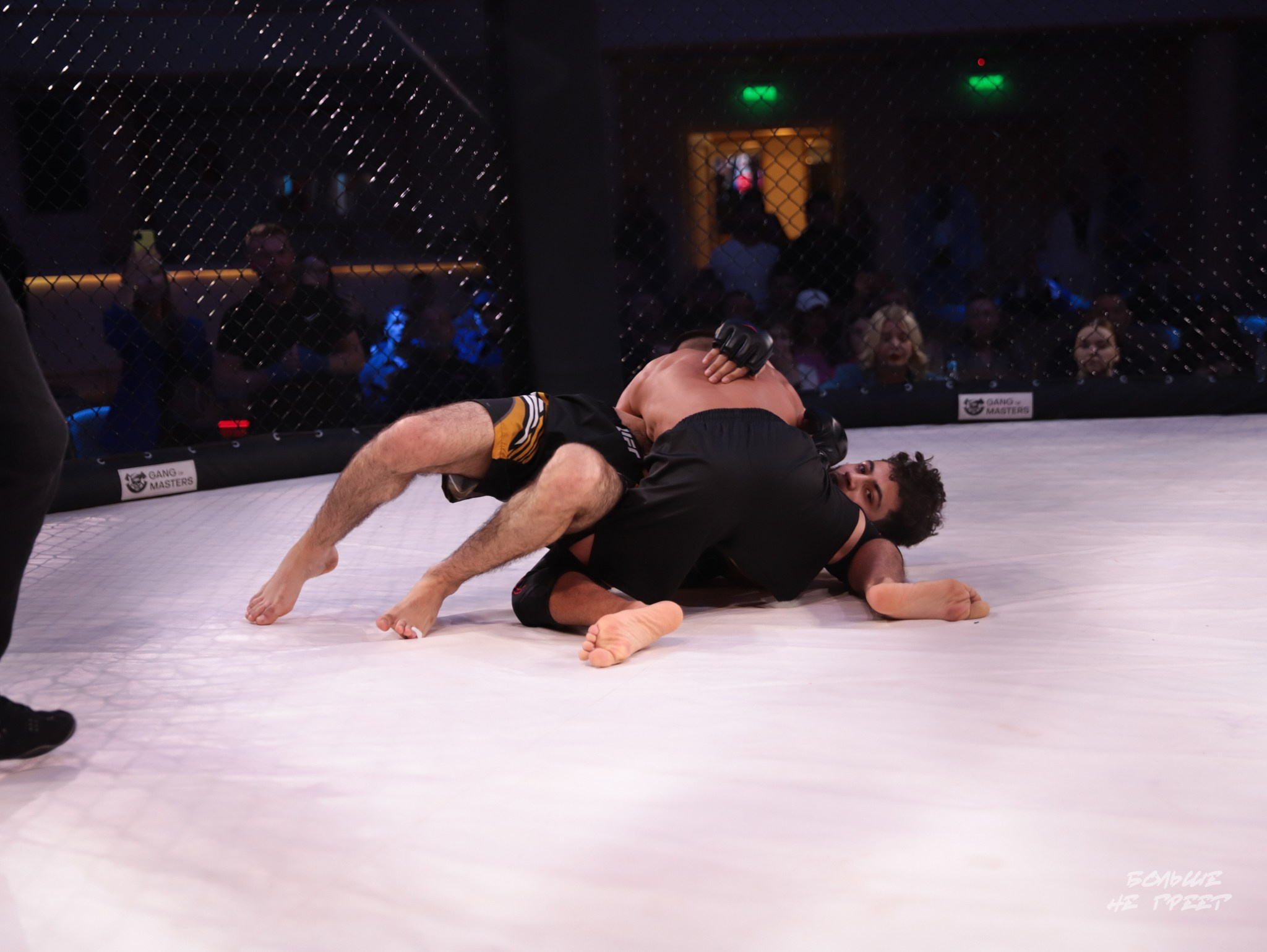 SABR FIGHTING. Больше не греет