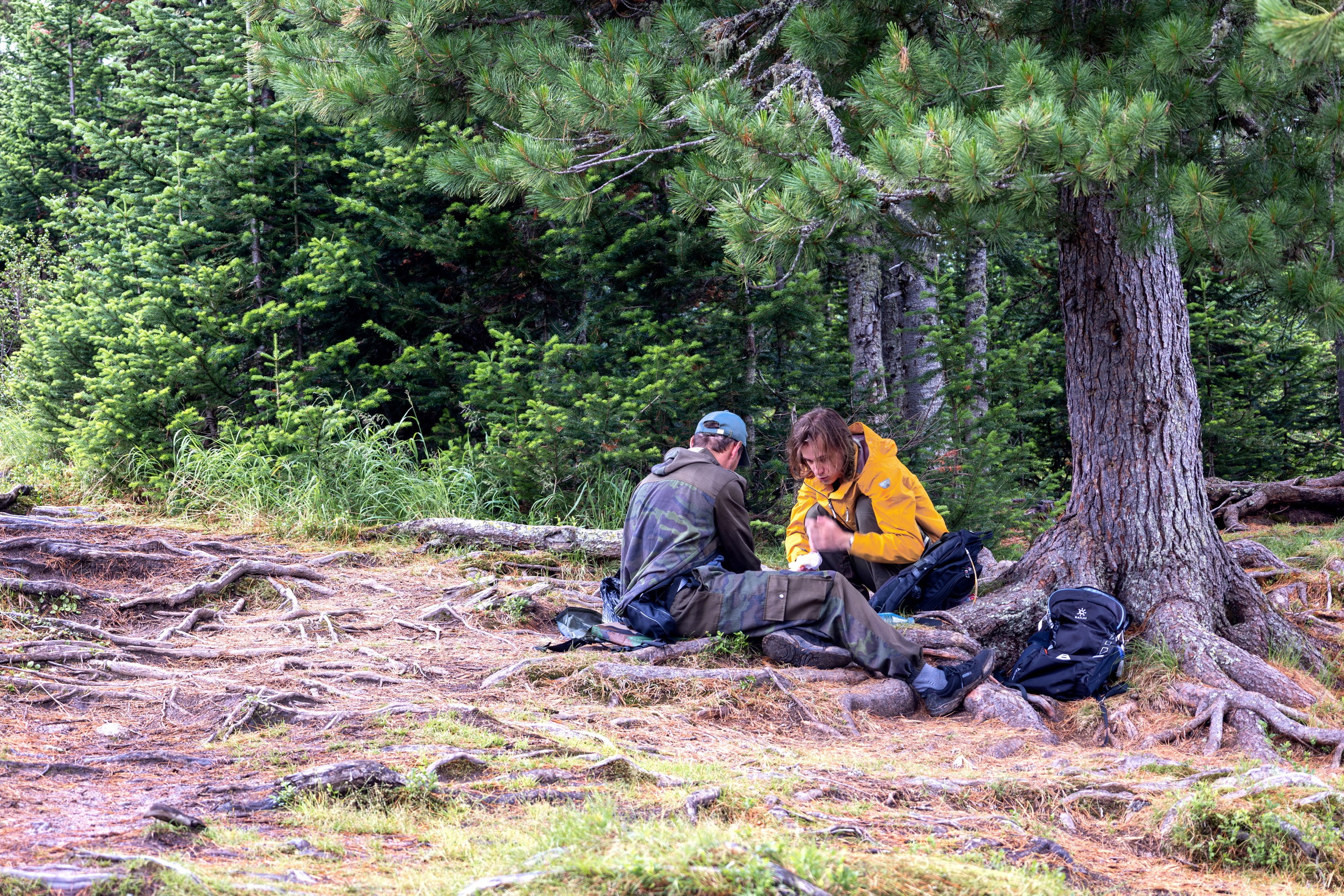 Ергаки. Семейный и детский фотограф в Красноярске, Дивногорцева Светлана
