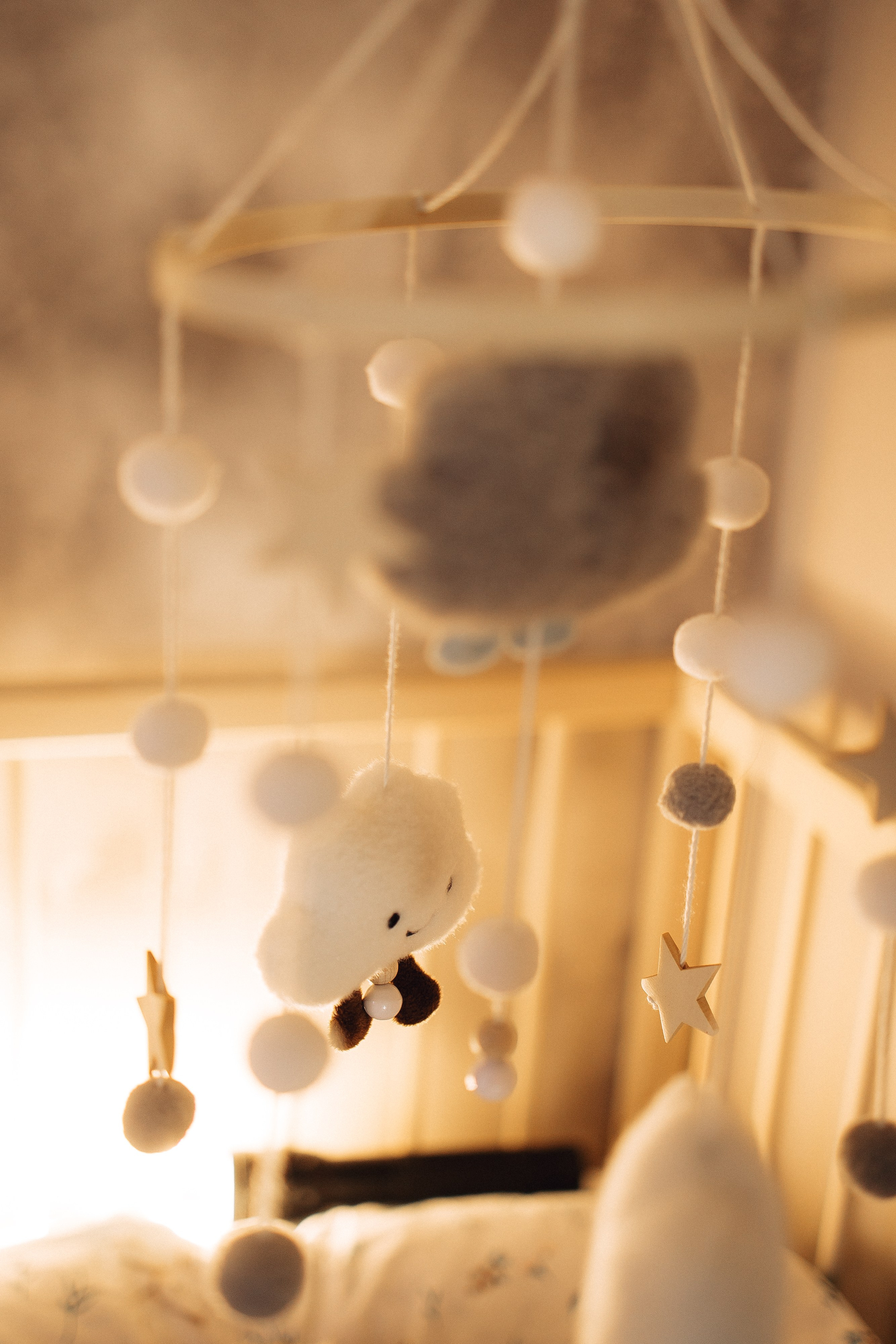 Домашняя история. Семейный фотограф в Краснодаре Храмова Анна