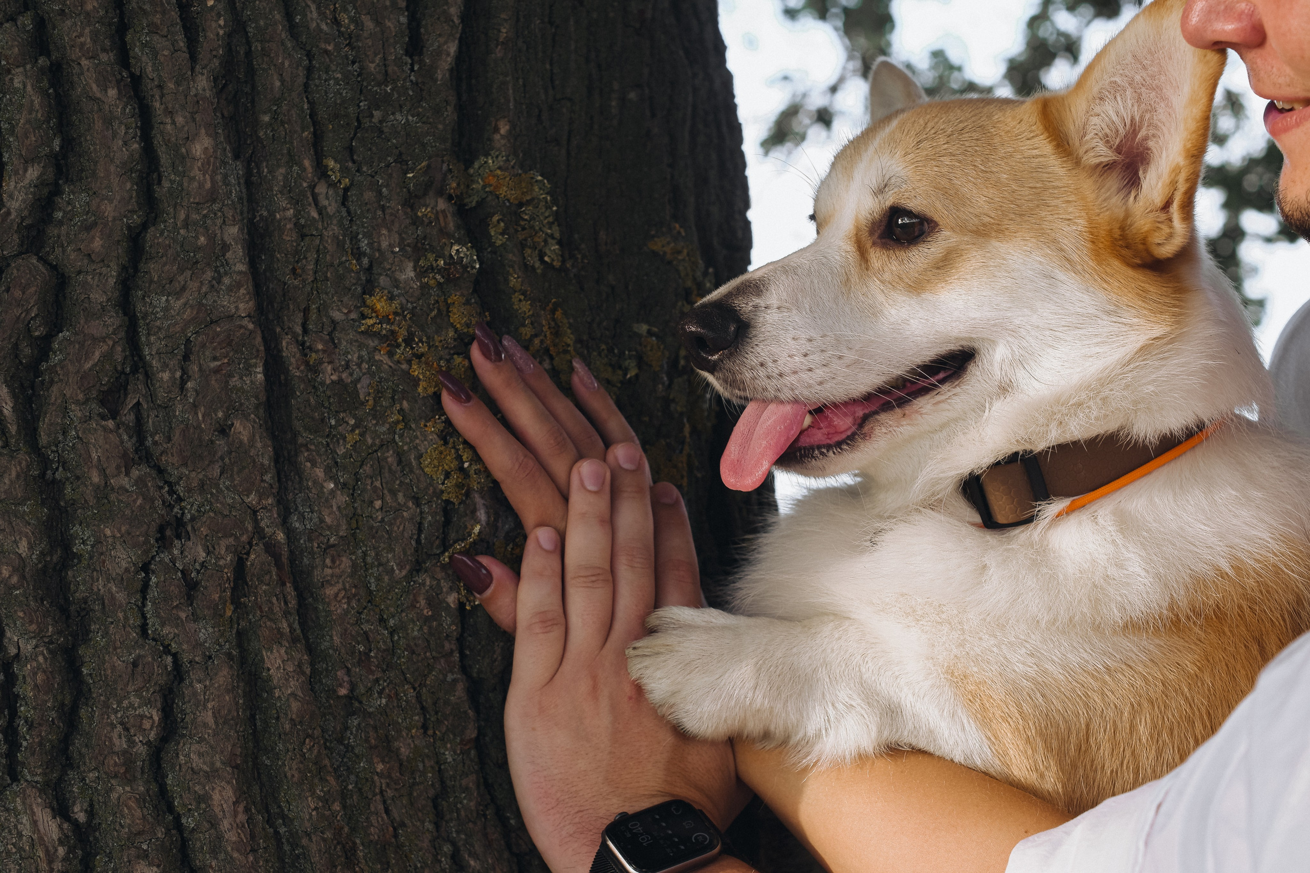 Софа, Женя, Честер и +1