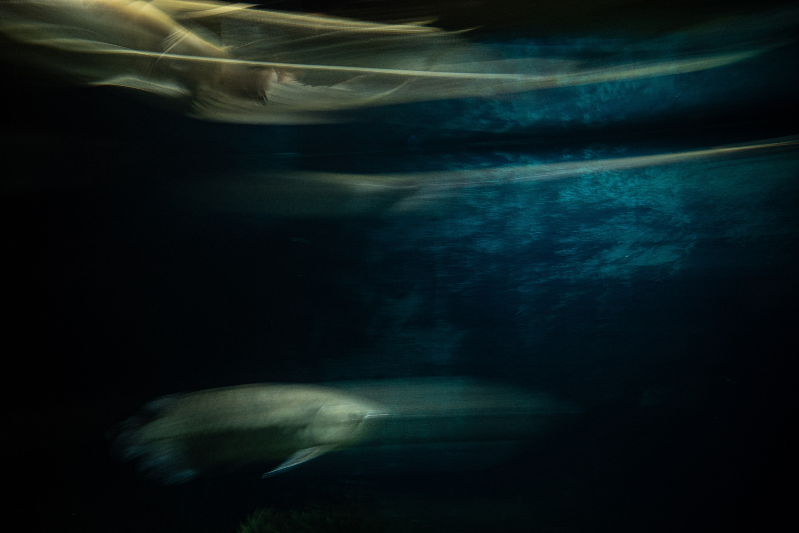 Рыбопись 2024. Яна Каменская