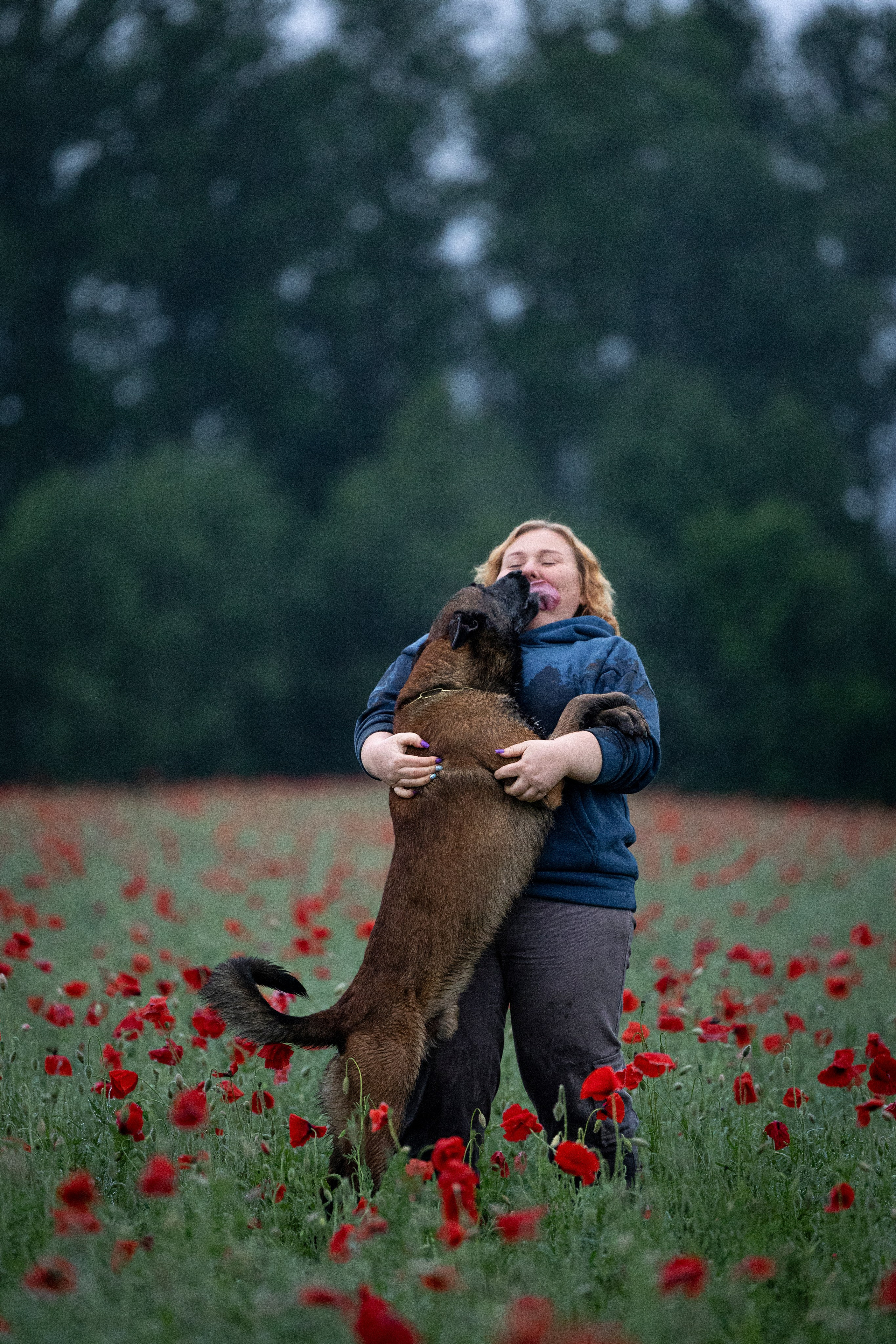 Маковое поле. Фотограф-анималист Анна Маринич