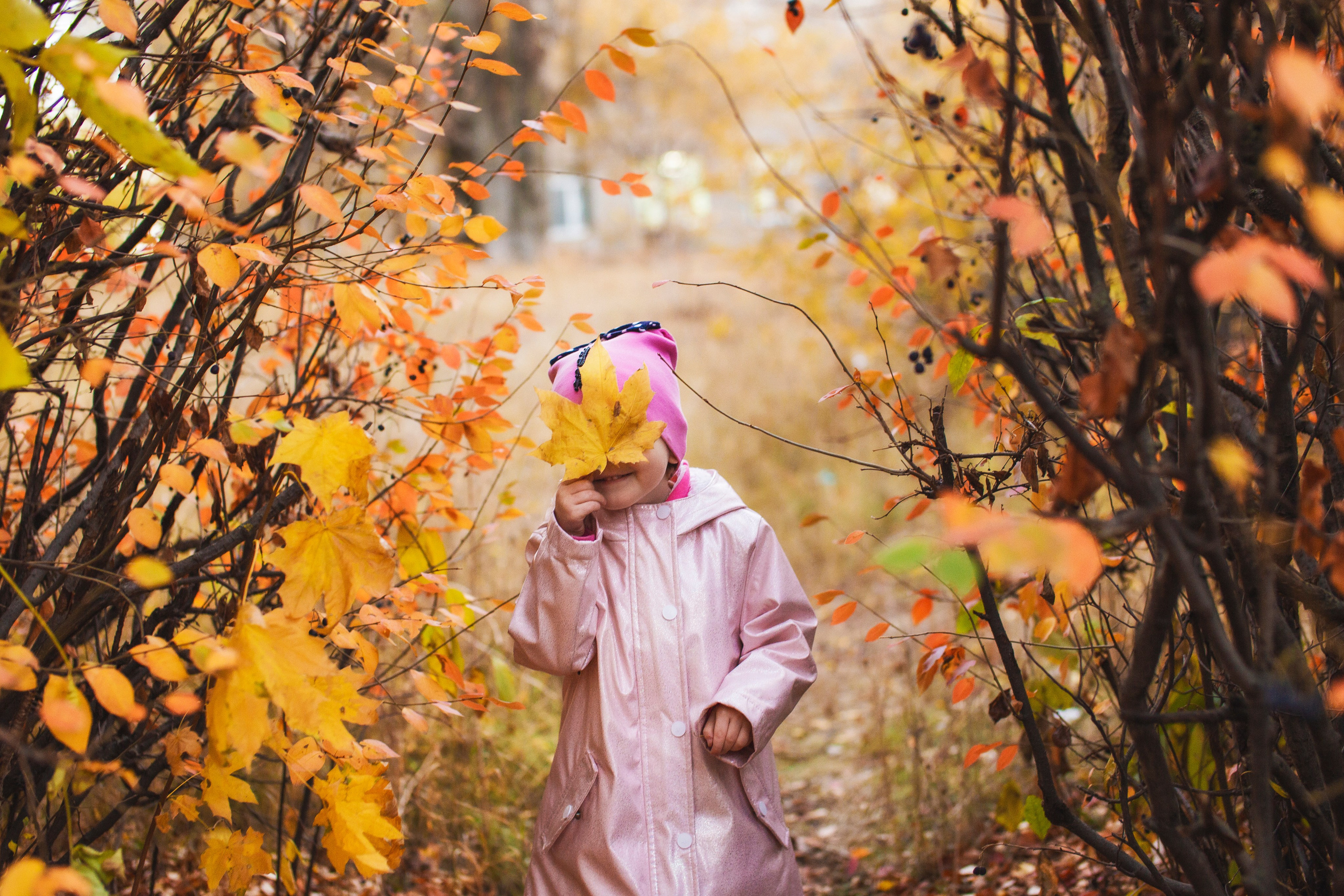 Осень. Семейный фотограф в Саратове