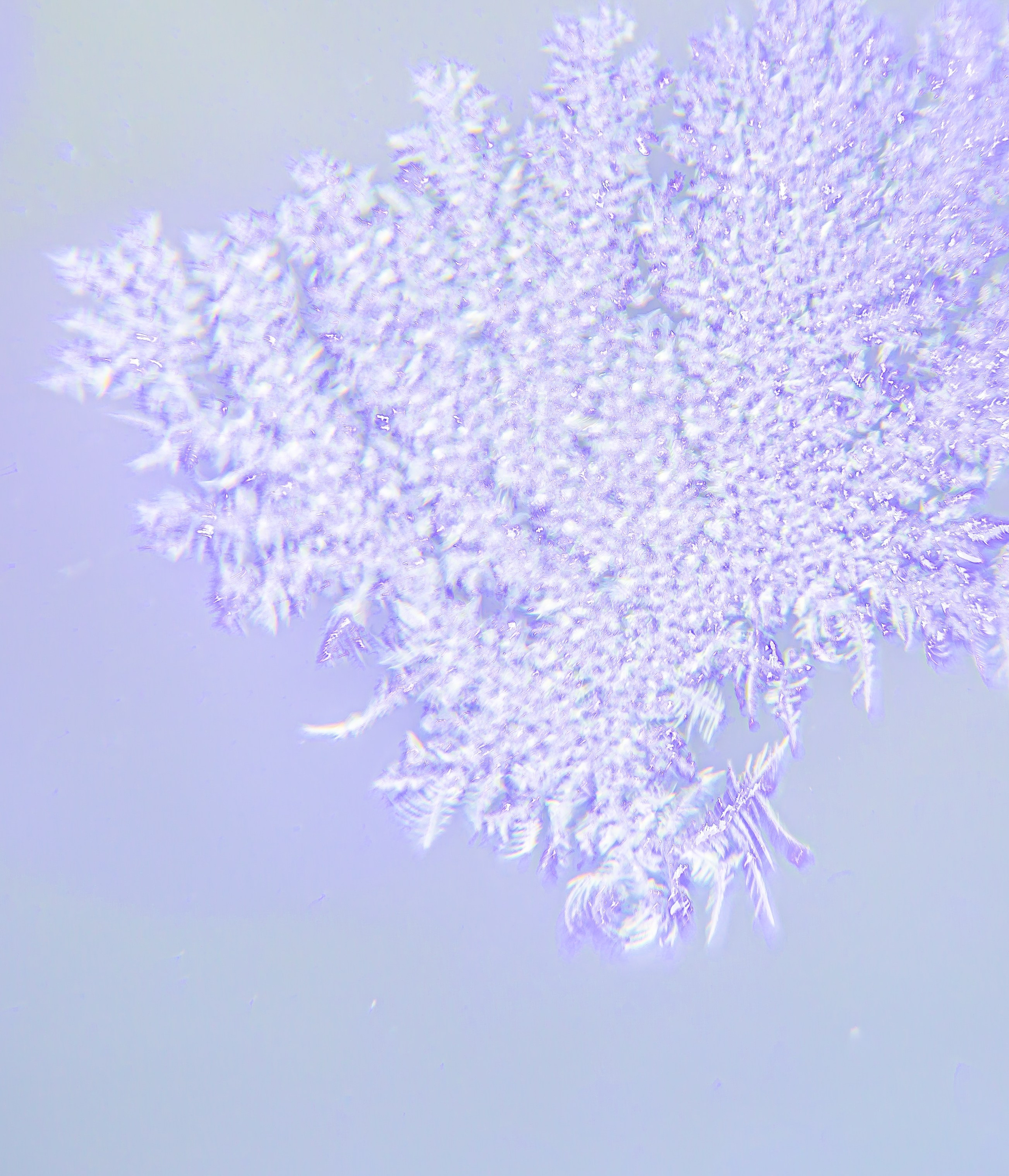 ЛЕД, 2026. АННА ВЕРСО / ANNA VERSO | Визуальный художник / Visual artist