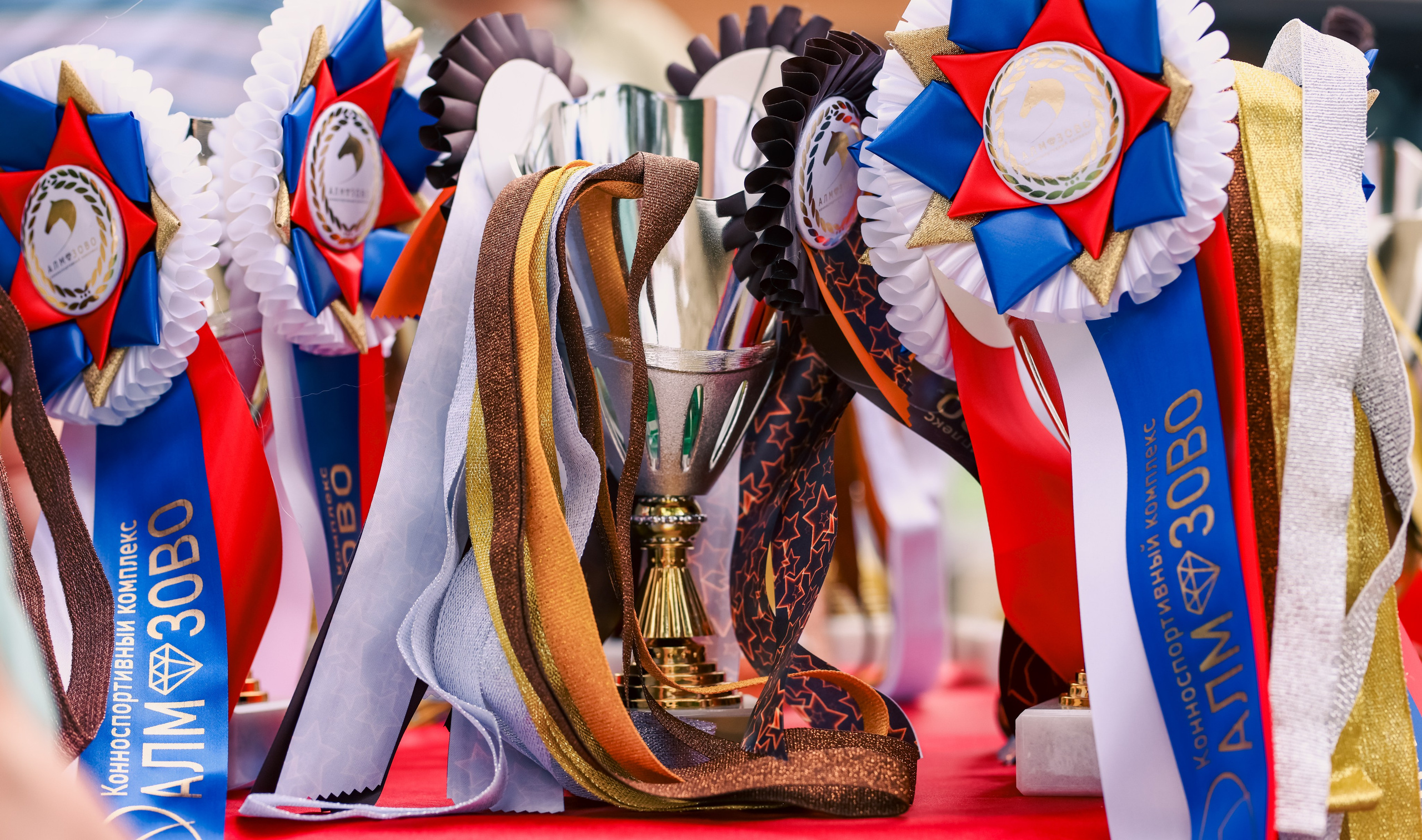 Соревнования по конному спорту. Фотограф репортажей и стритфотосессий в Москве Людмила Смирнова