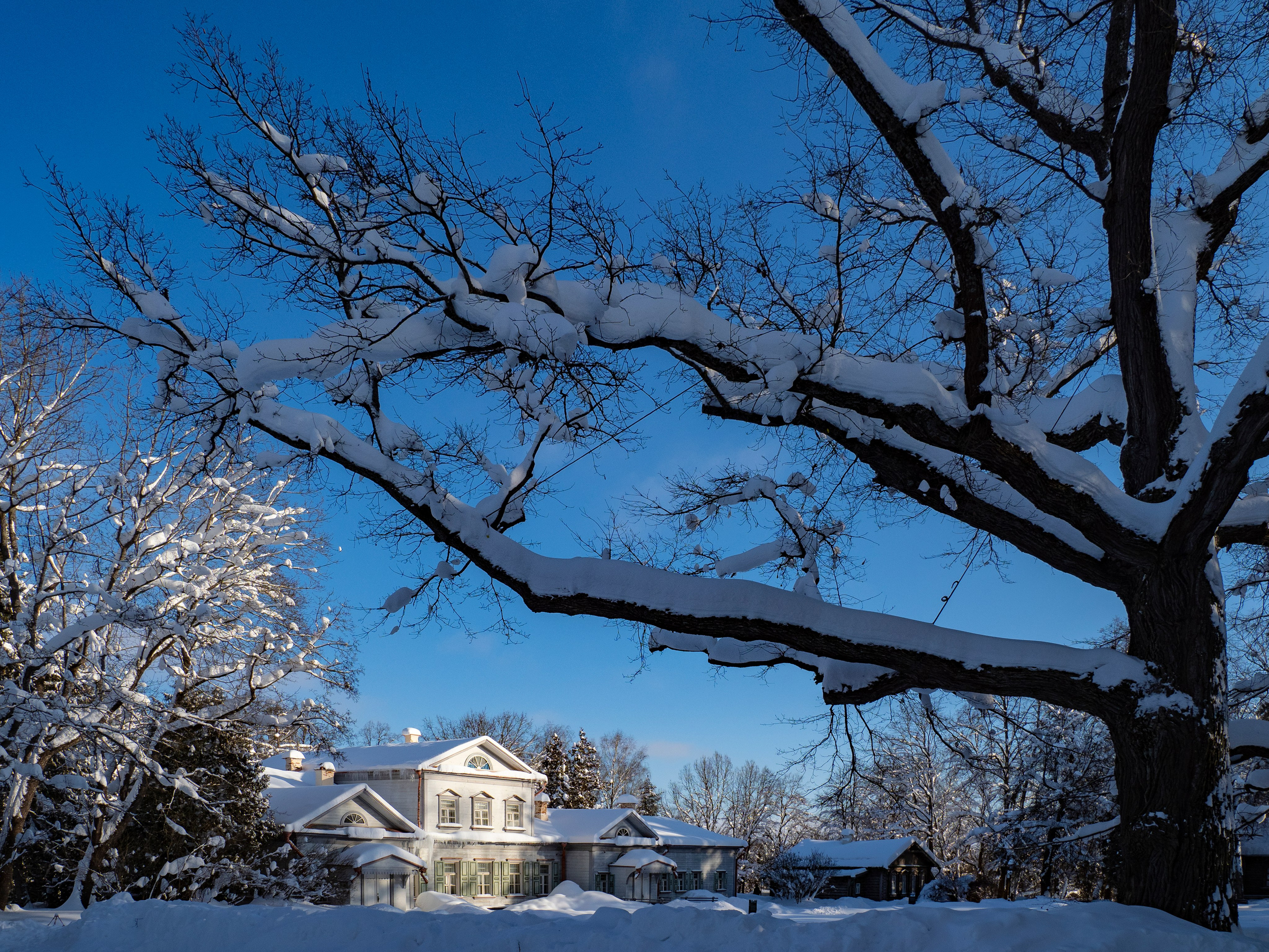 Абрамцево. Главная
